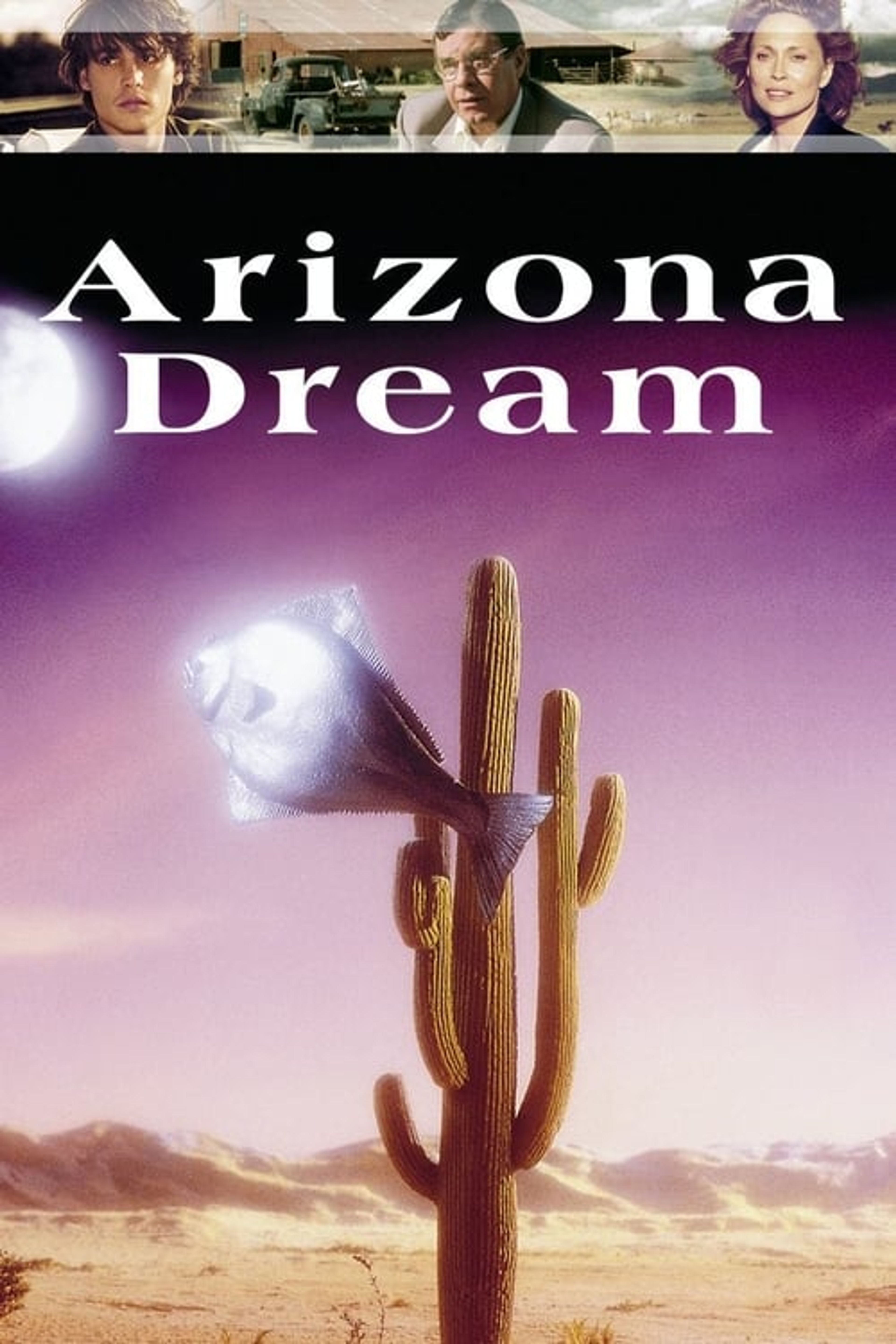 Poster image of Arizona Dream