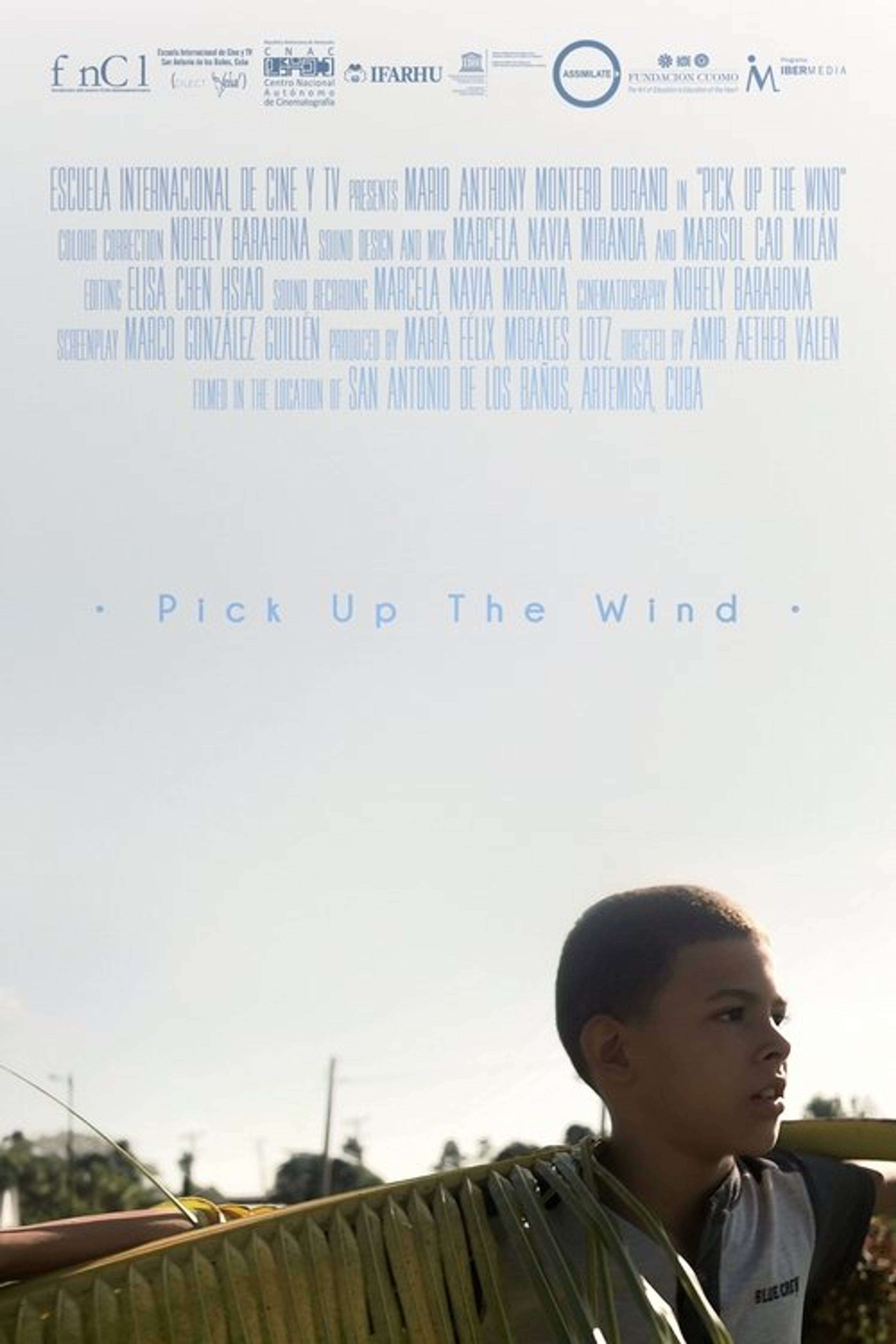 Poster image of Pick up the Wind
