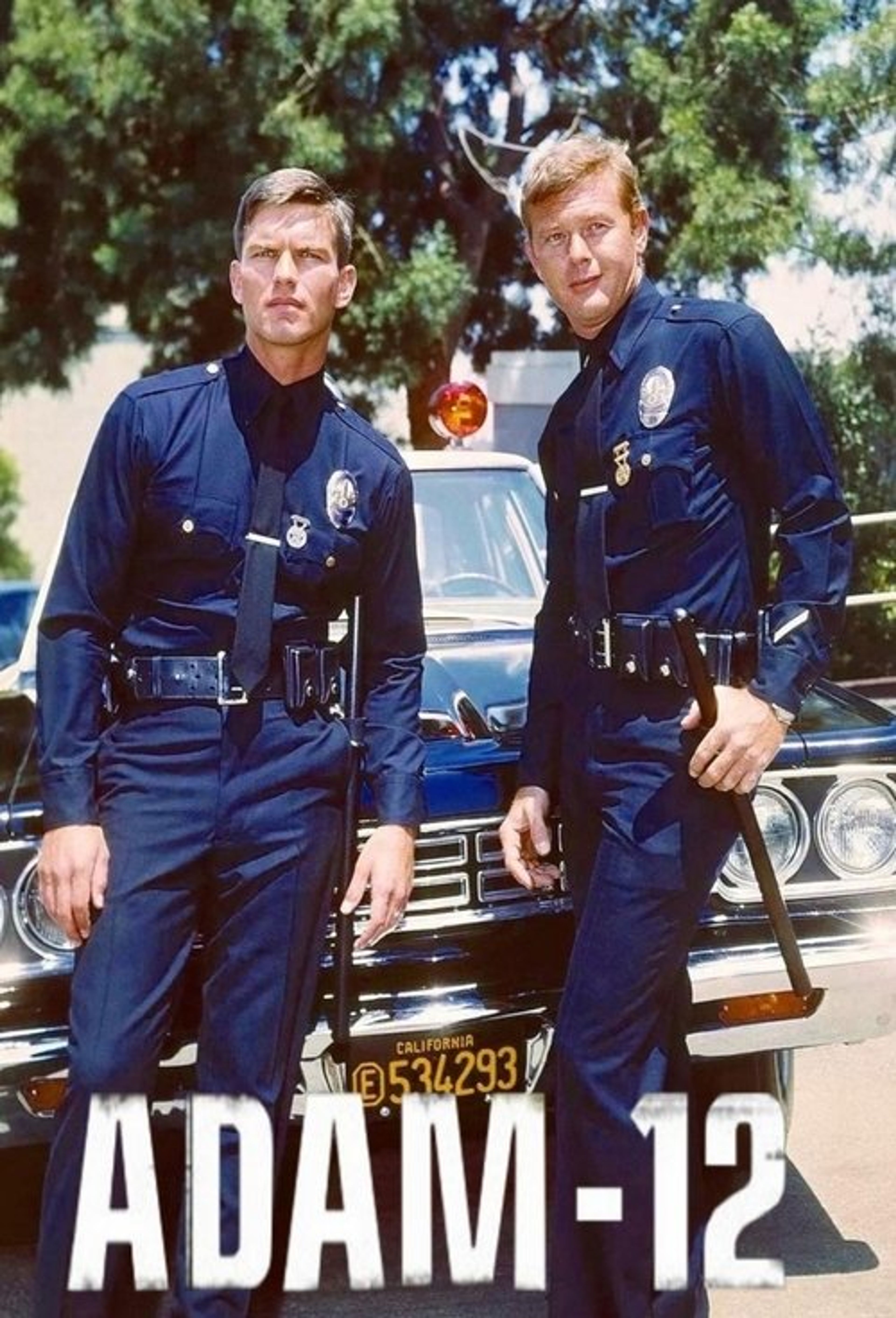 Poster image of Adam-12