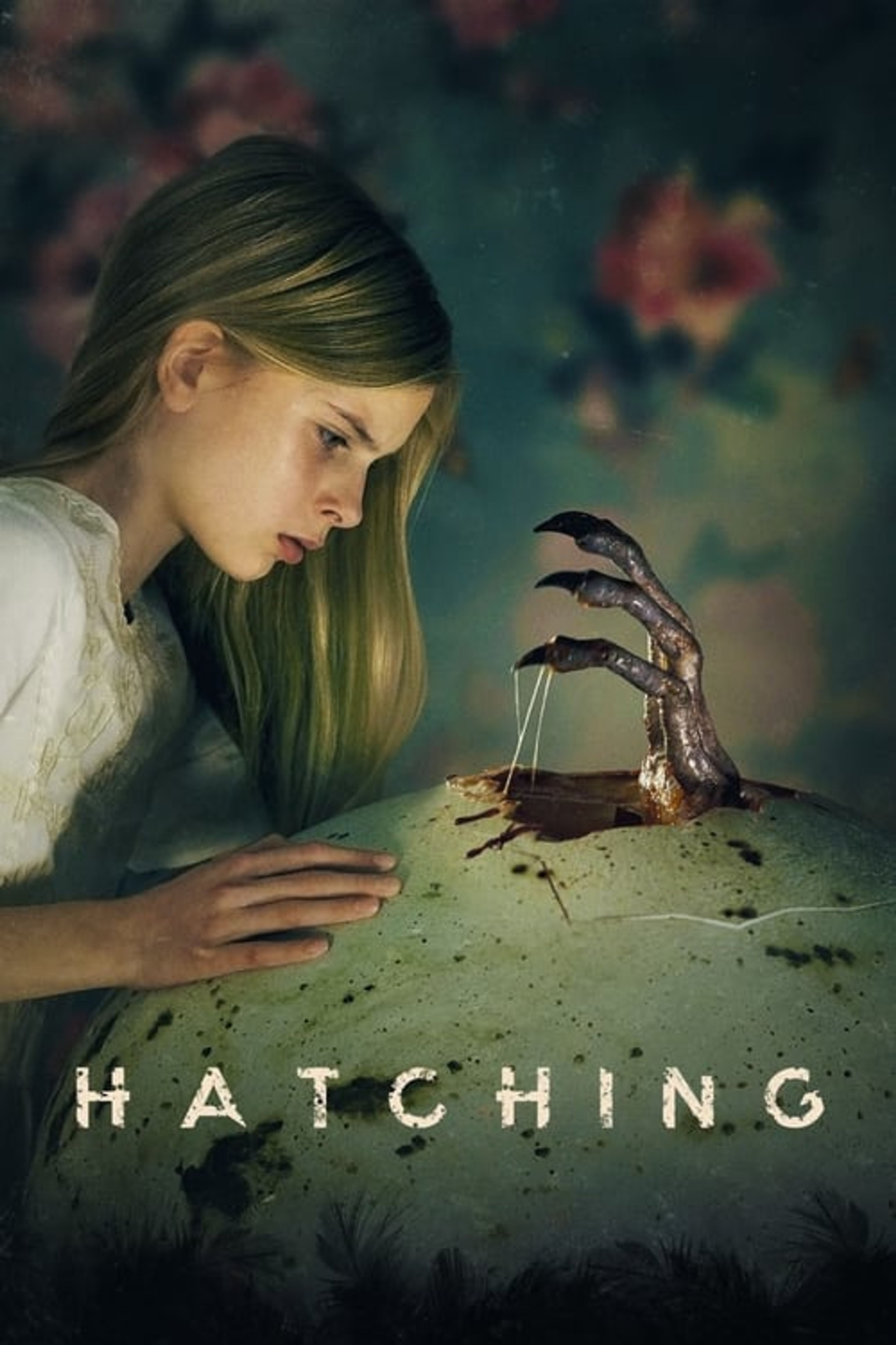 Poster image of Hatching