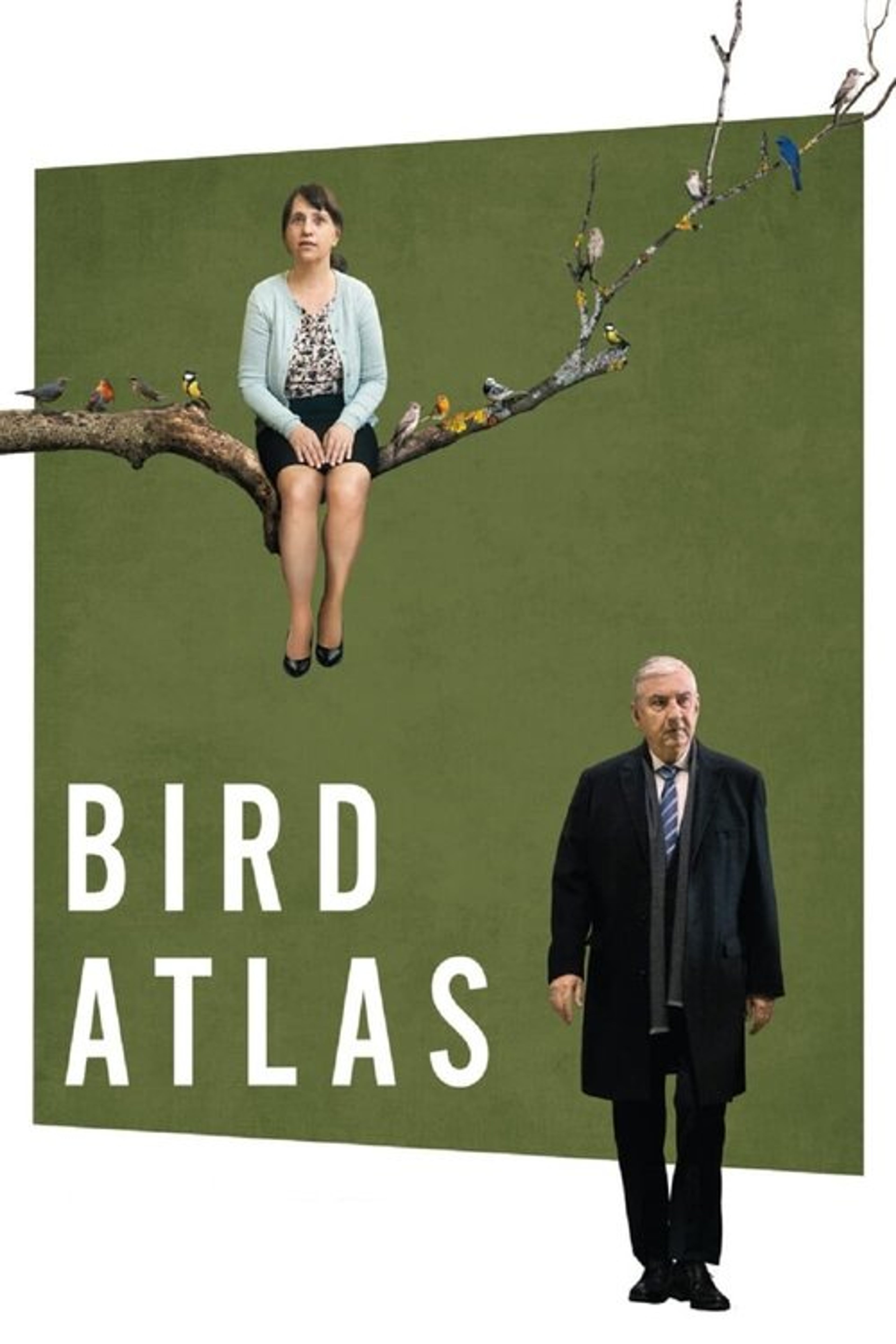 Poster image of Bird Atlas