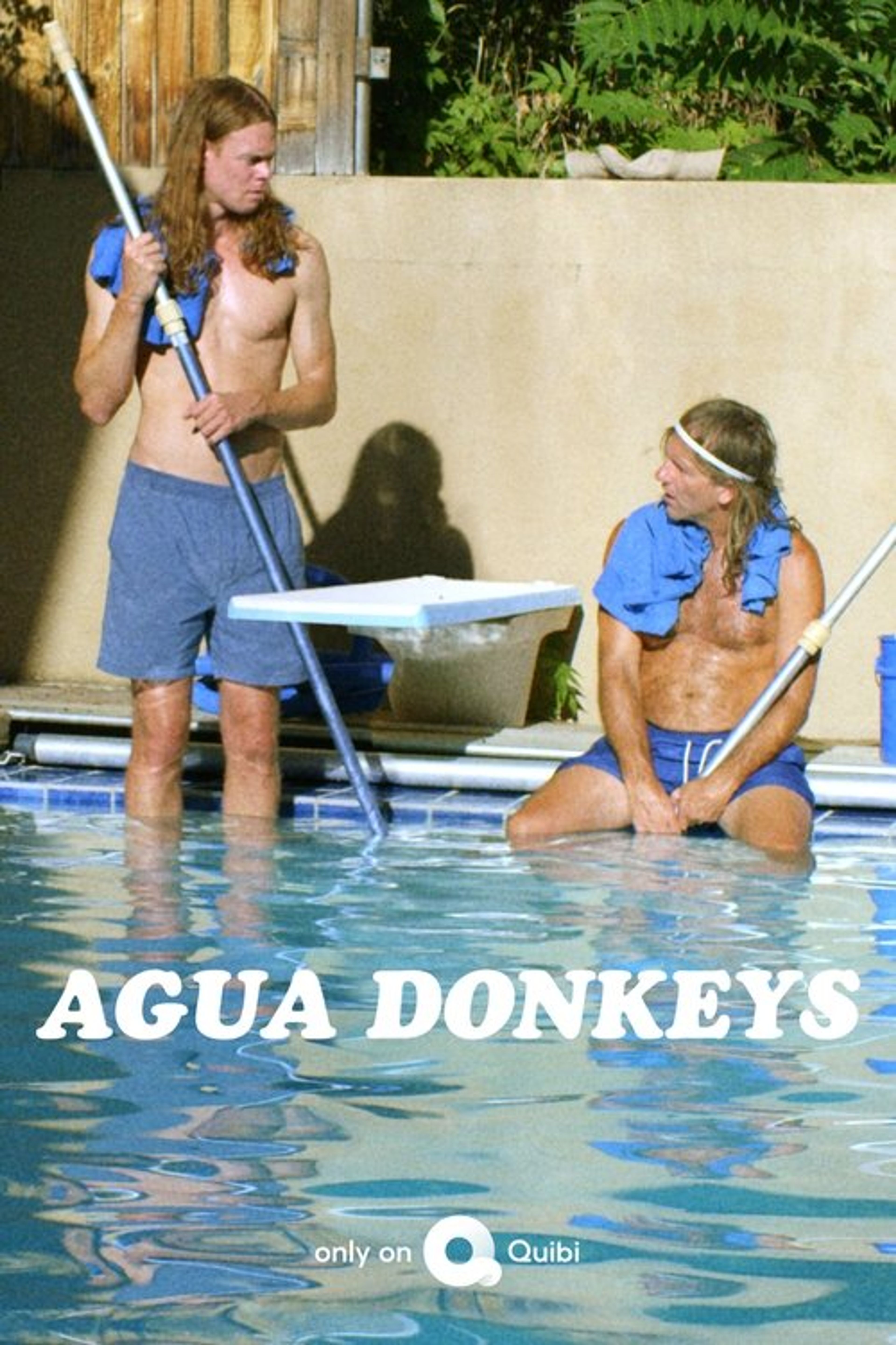 Poster image of Agua Donkeys