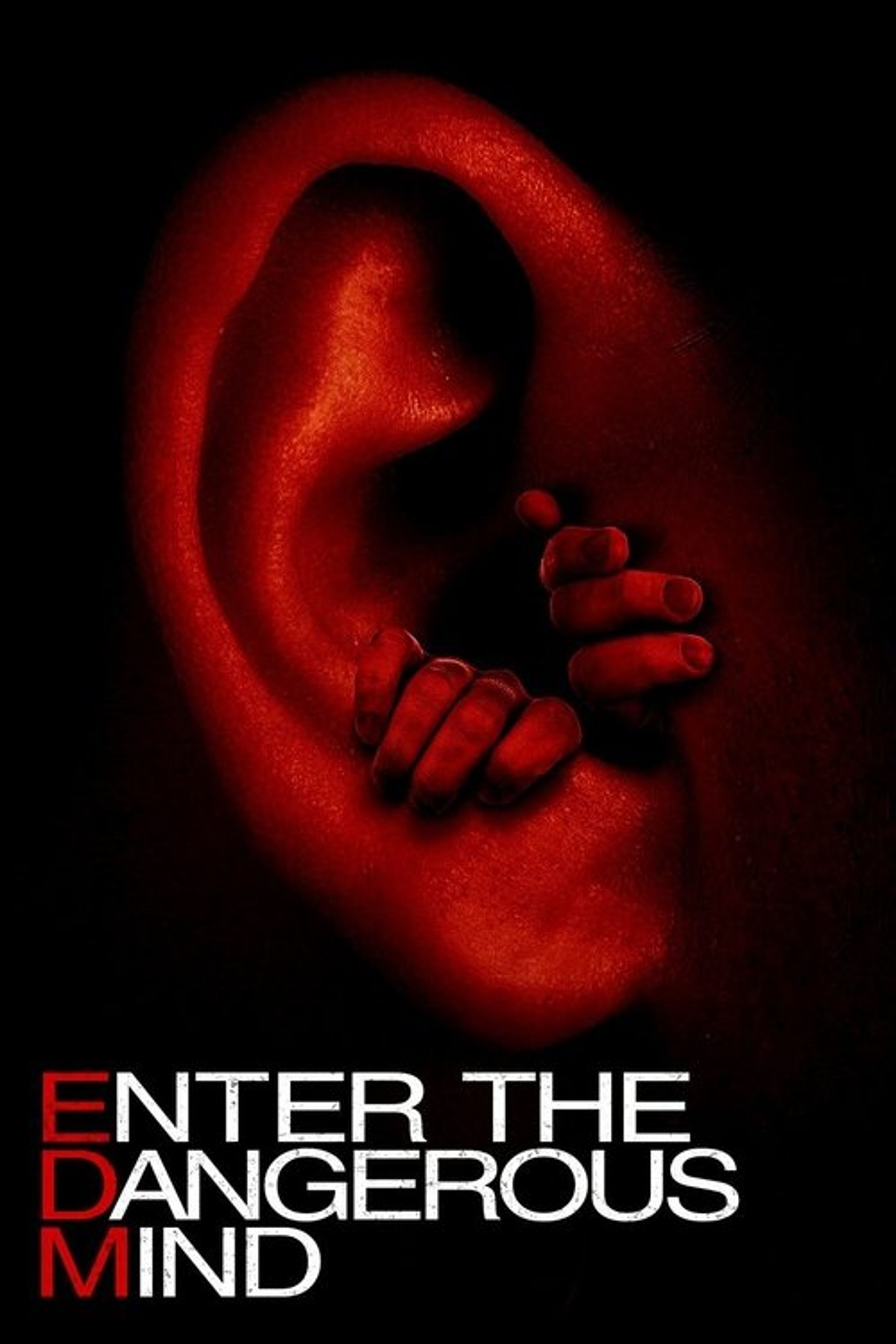 Poster image of Enter the Dangerous Mind