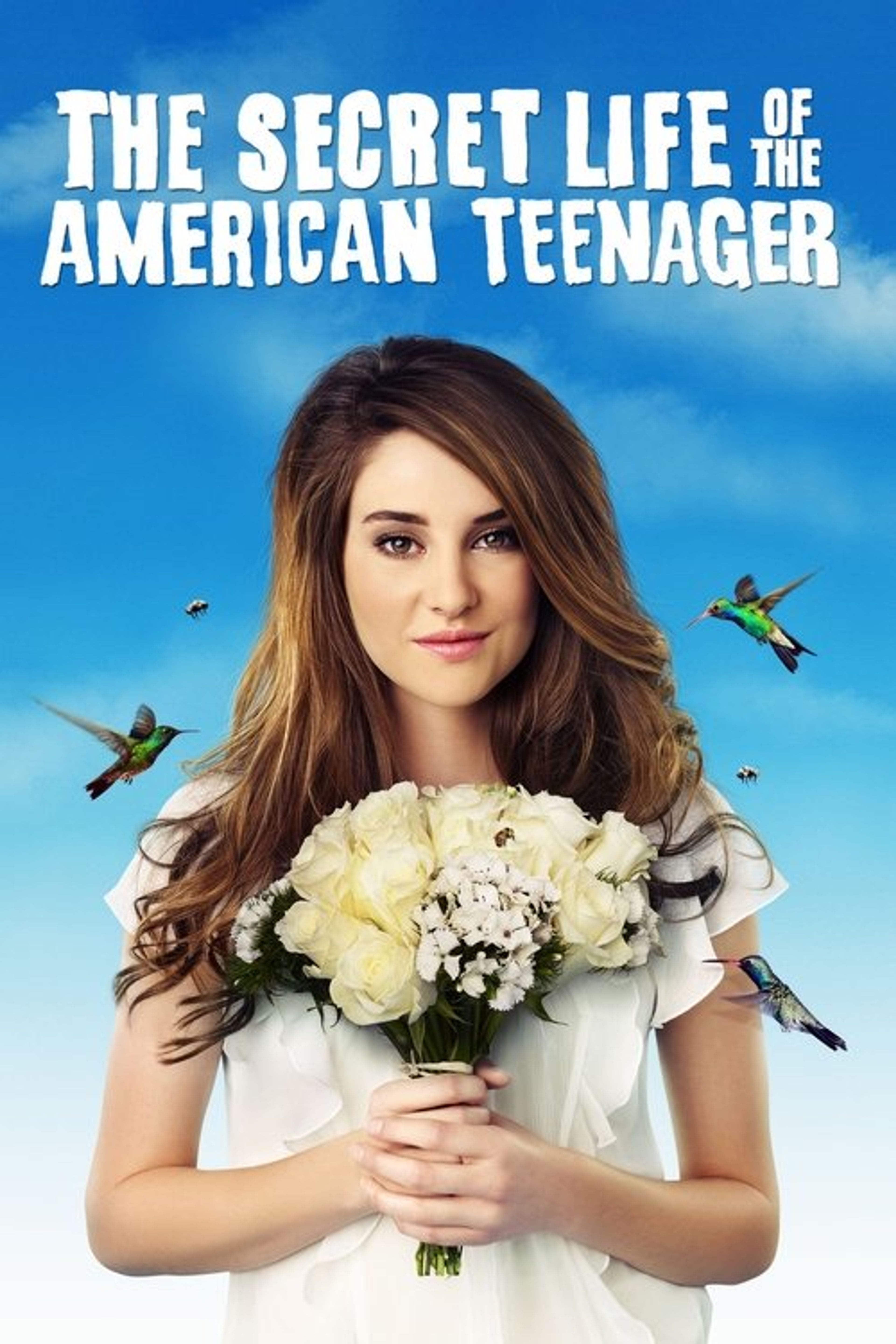 Poster image of The Secret Life of the American Teenager
