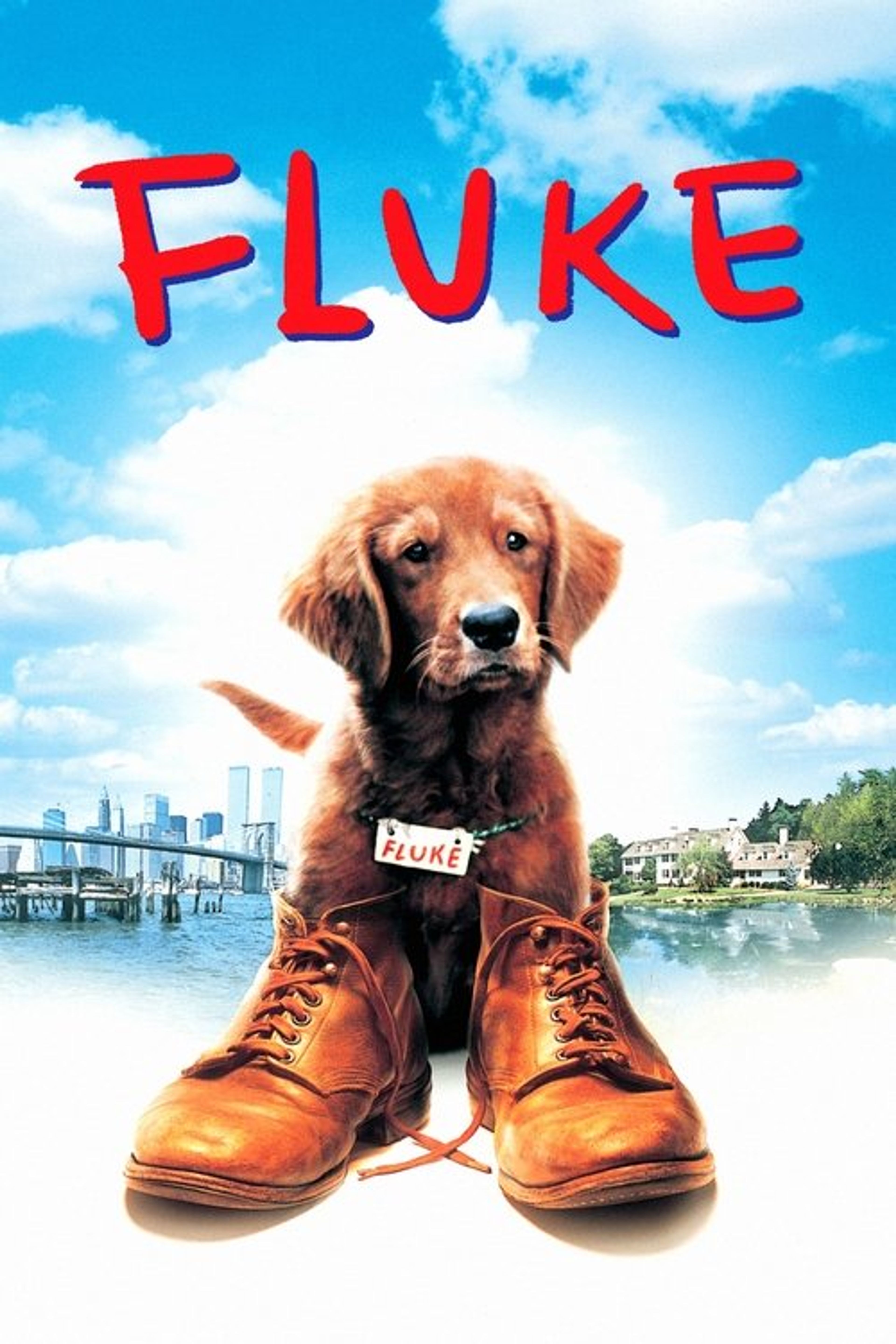 Poster image of Fluke