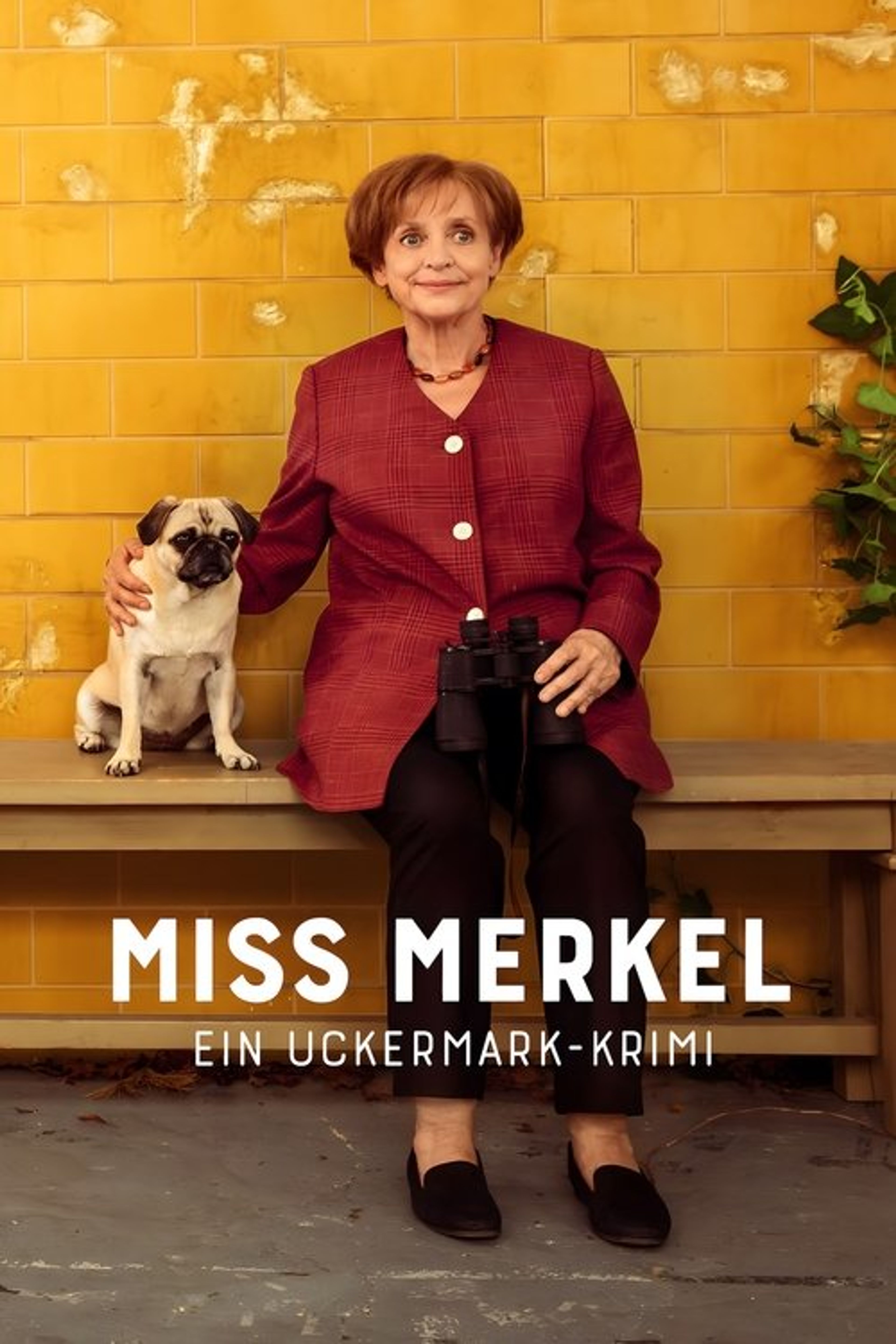 Poster image of Miss Merkel - Mord auf dem Friedhof