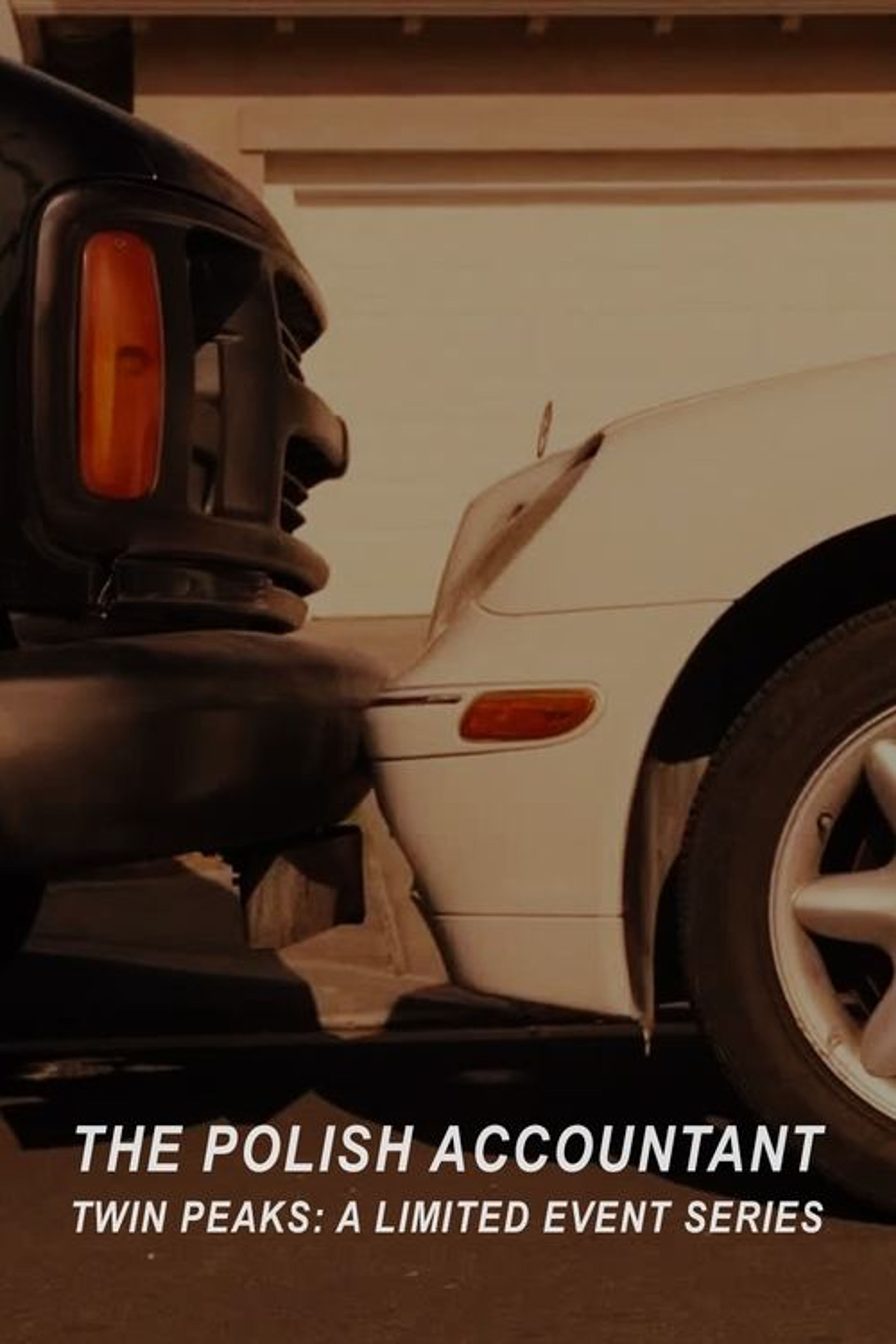 Poster image of The Polish Accountant