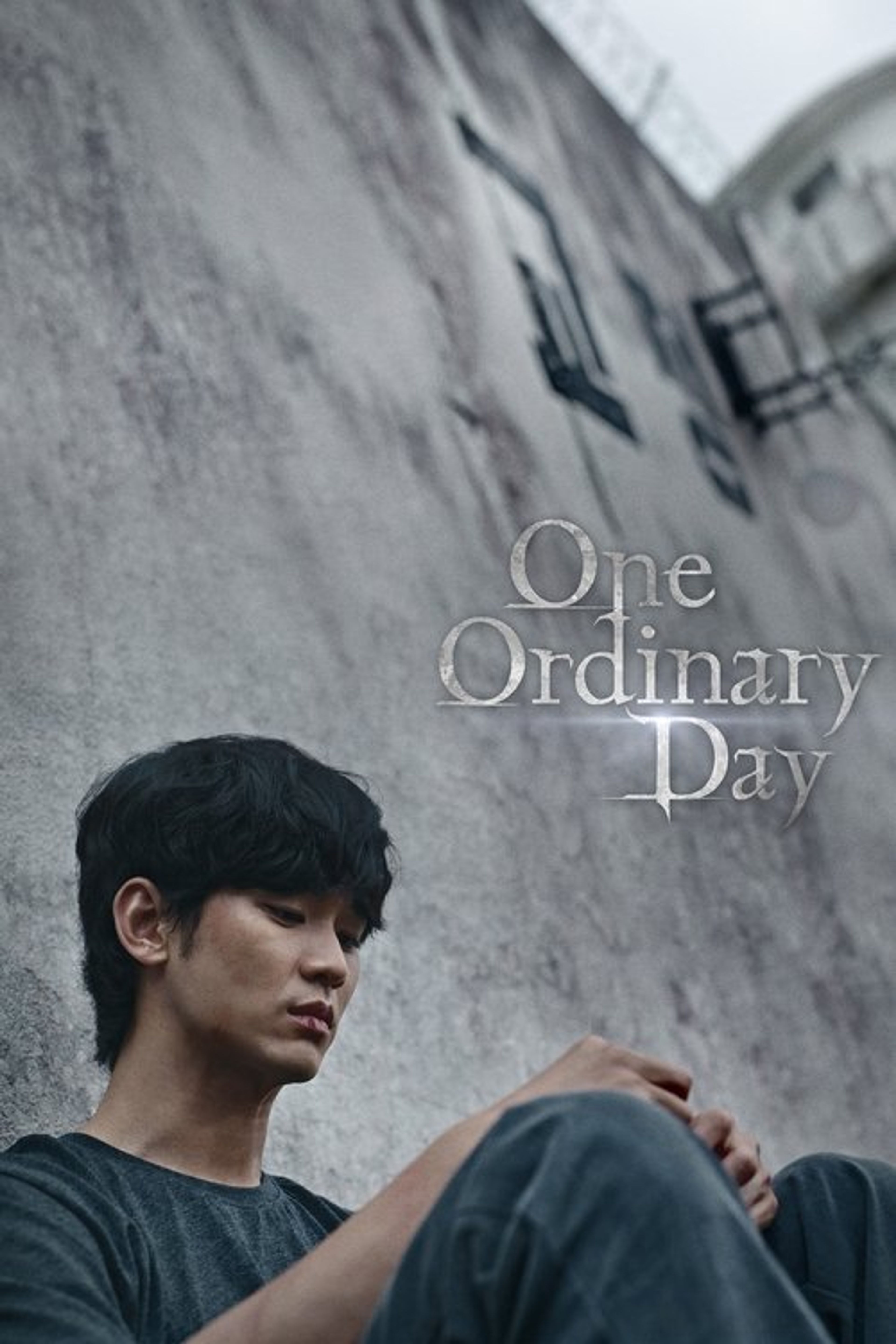Poster image of One Ordinary Day