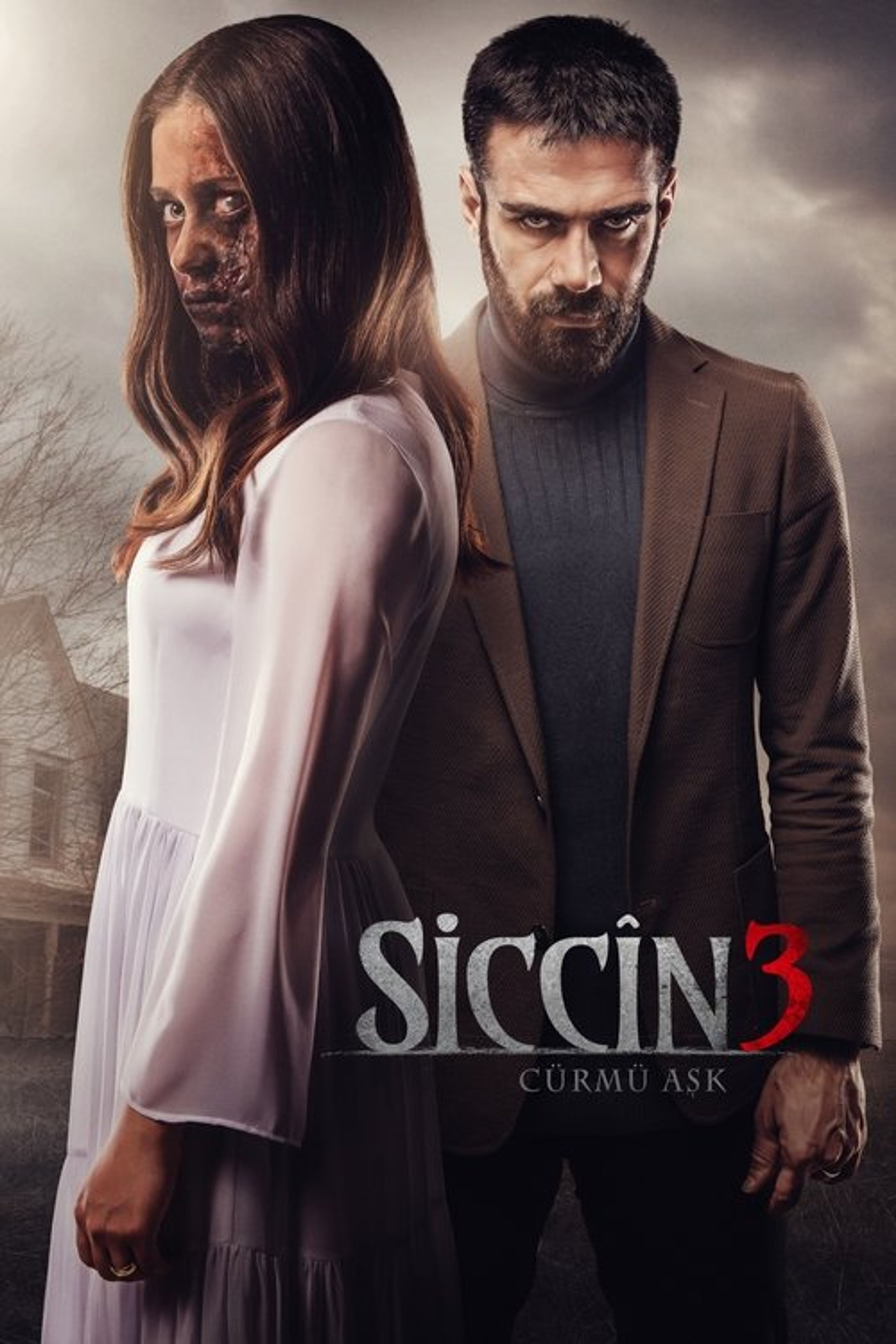 Poster image of Sijjin 3: The Forbidden Love