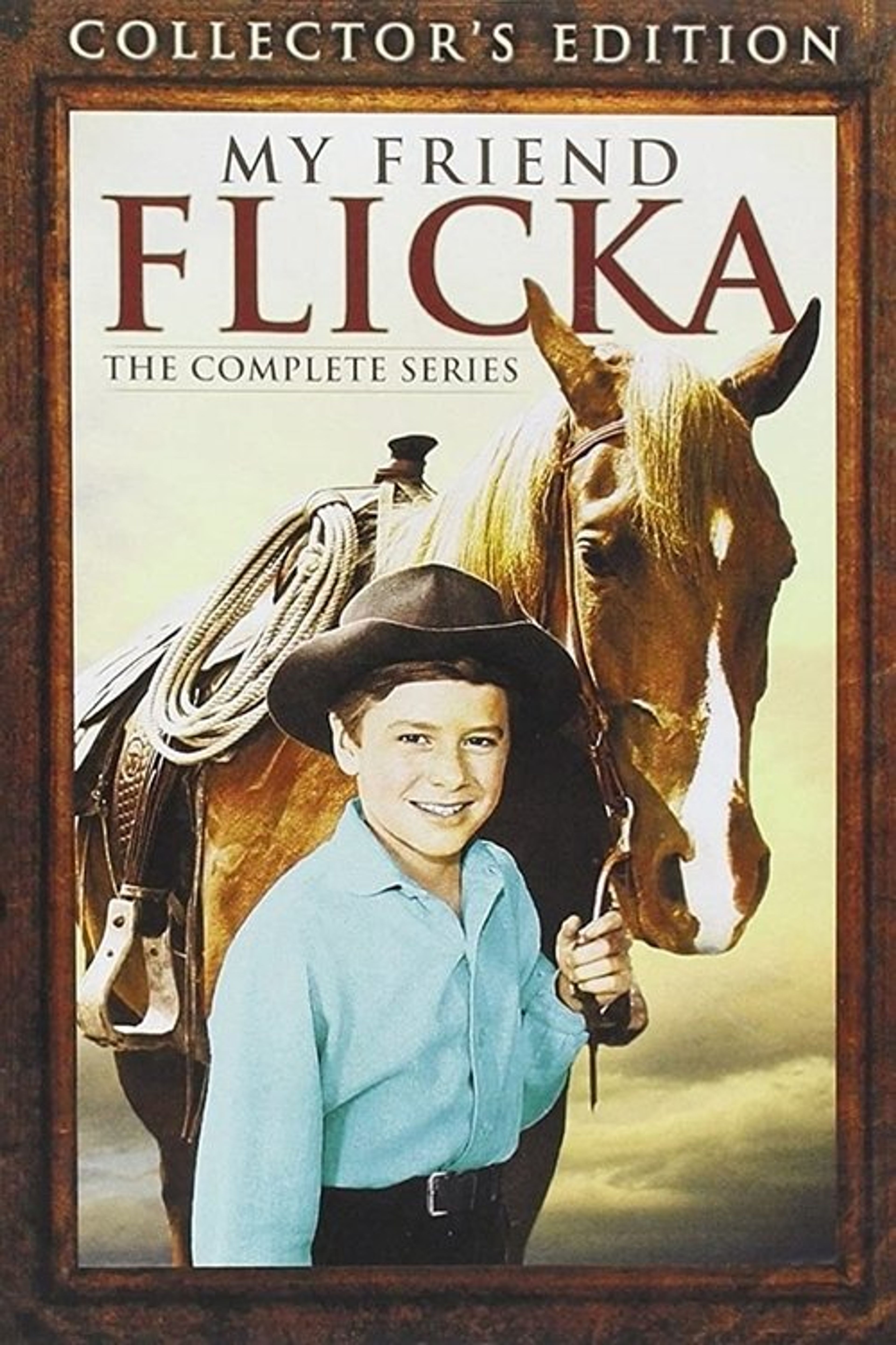 Poster image of My Friend Flicka