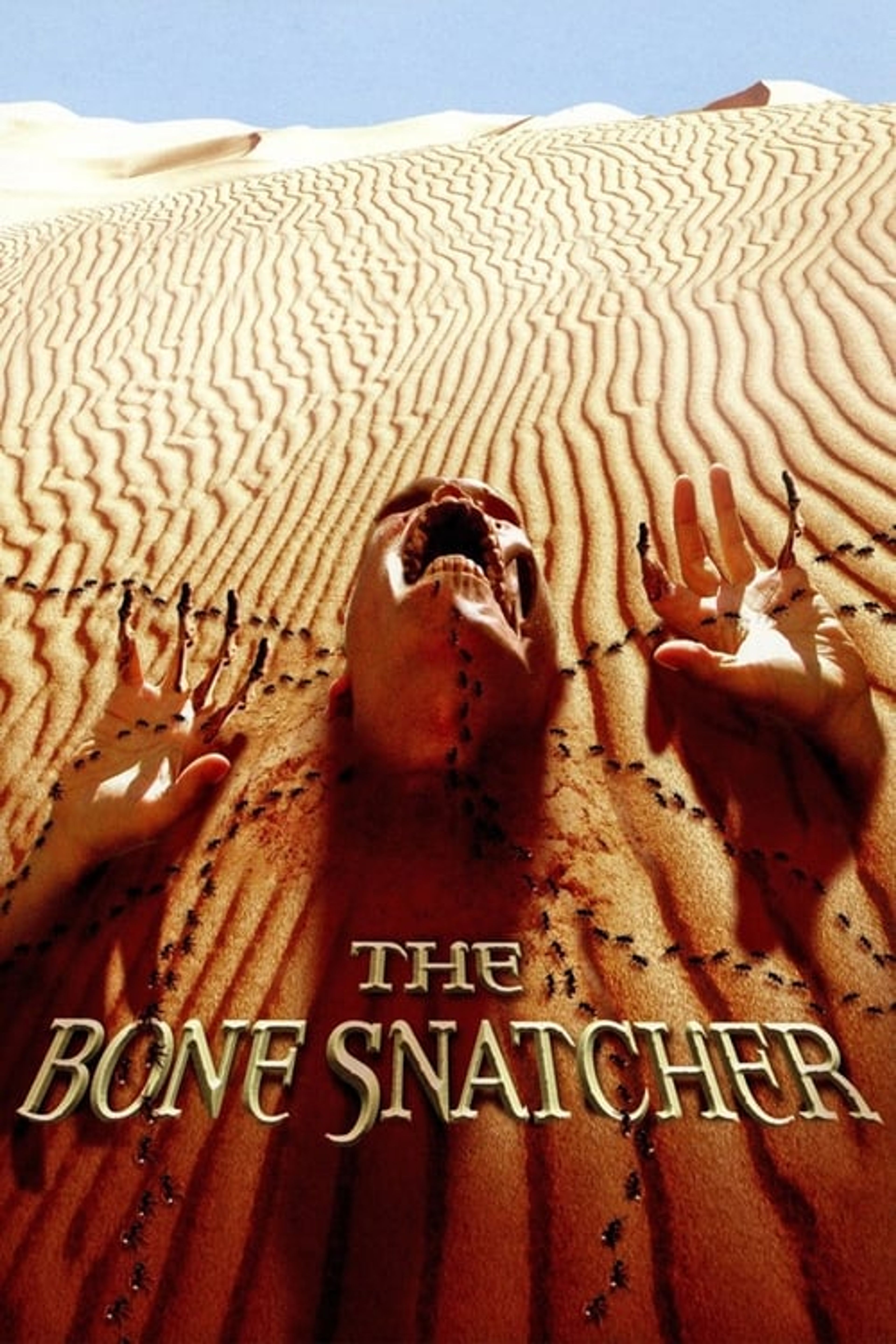 Poster image of The Bone Snatcher