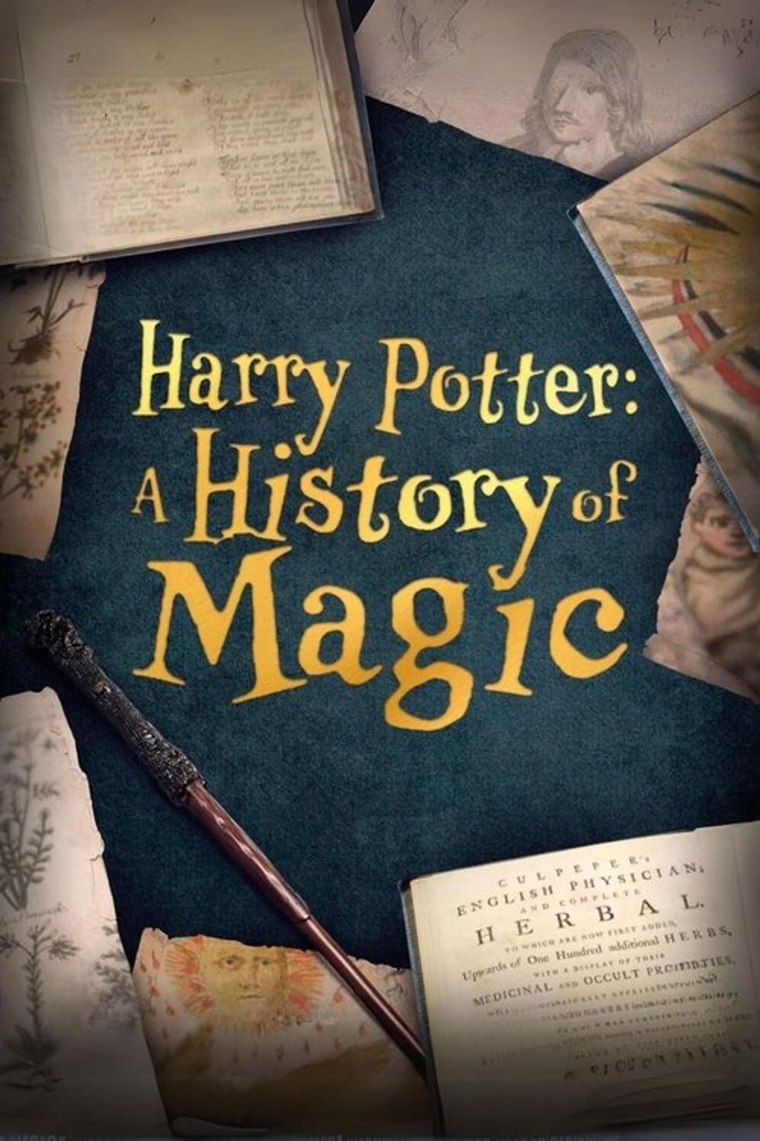 Poster image of Harry Potter: A History Of Magic