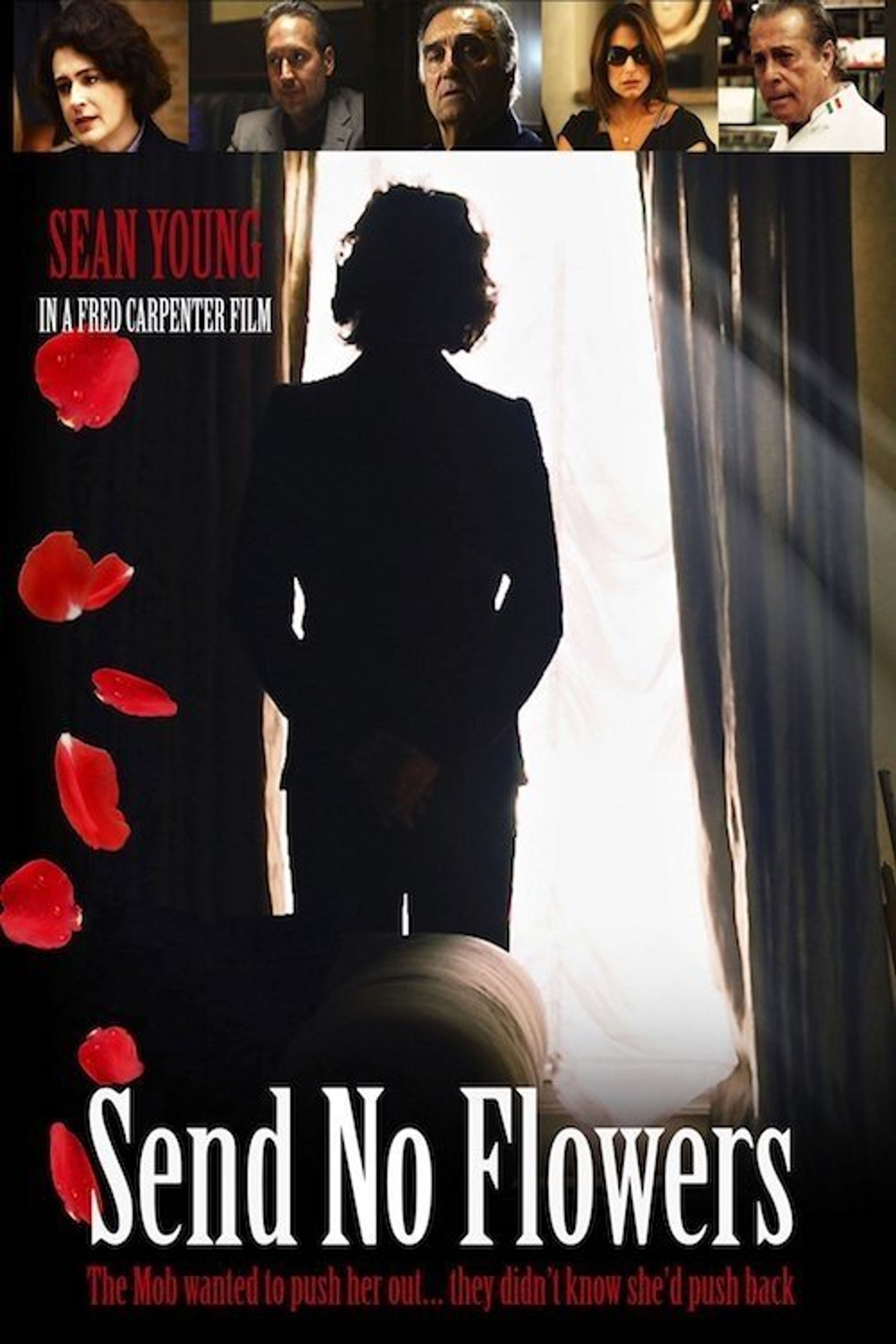 Poster image of Send No Flowers