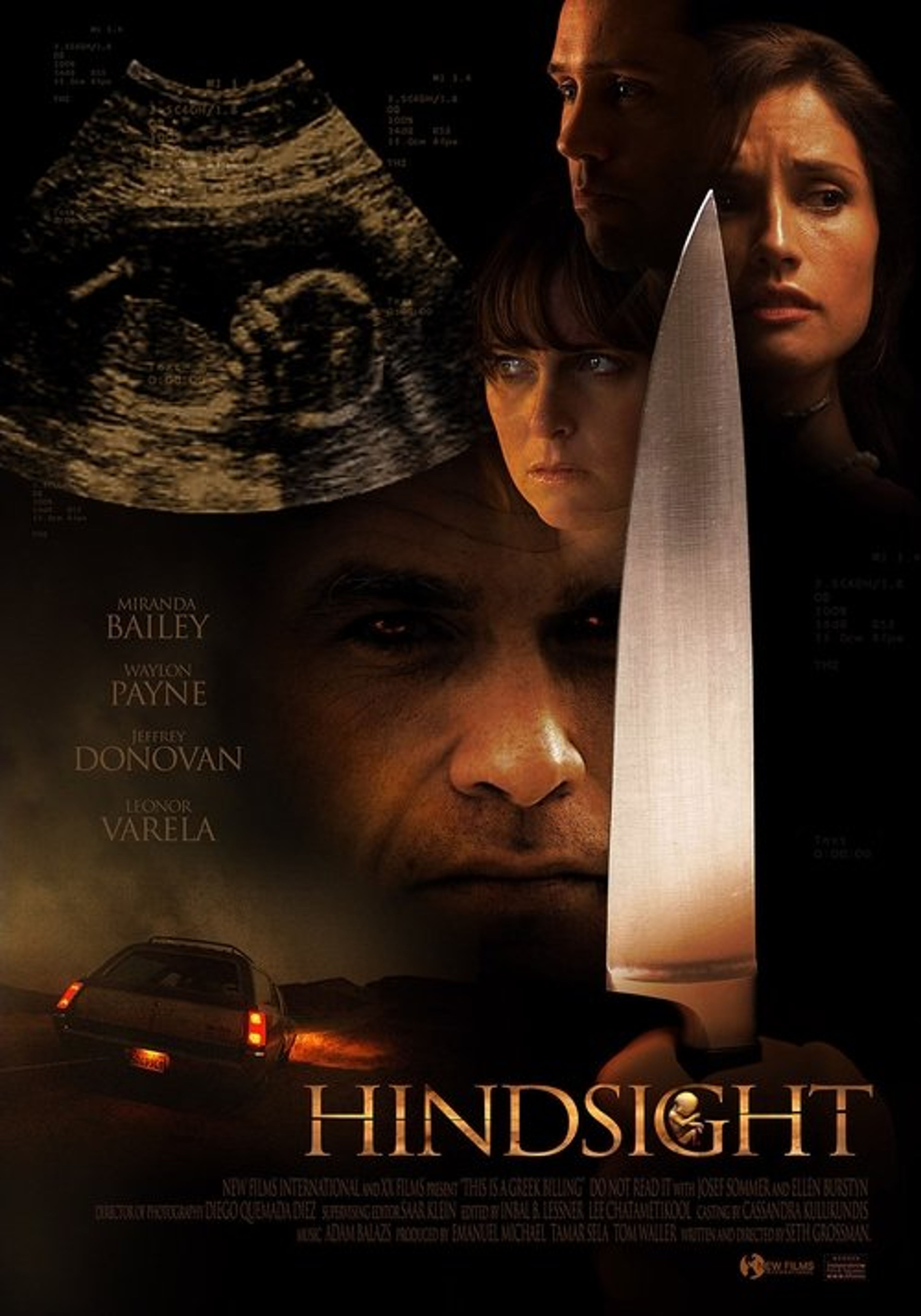 Poster image of Hindsight