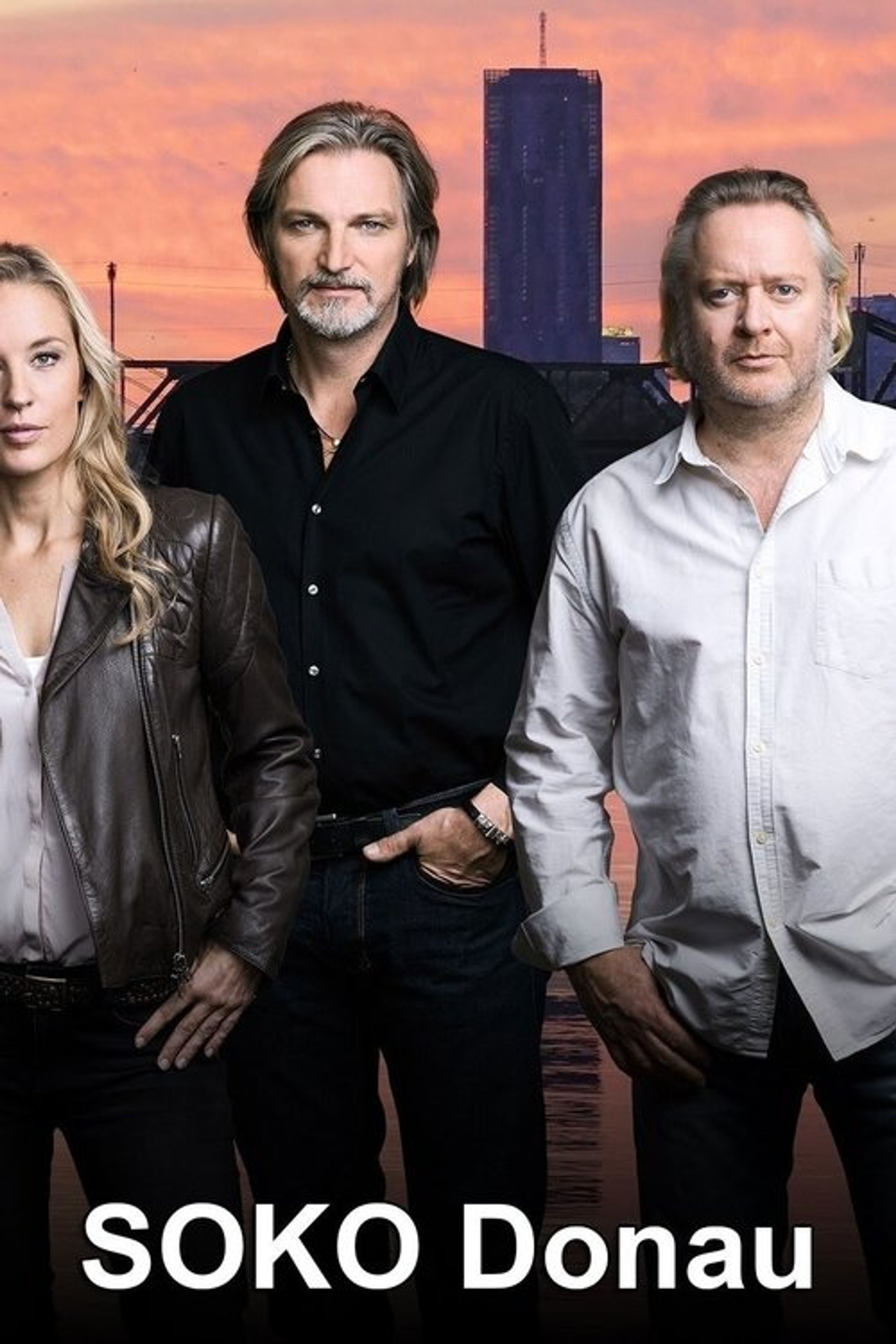 Poster image of Vienna Crime Squad