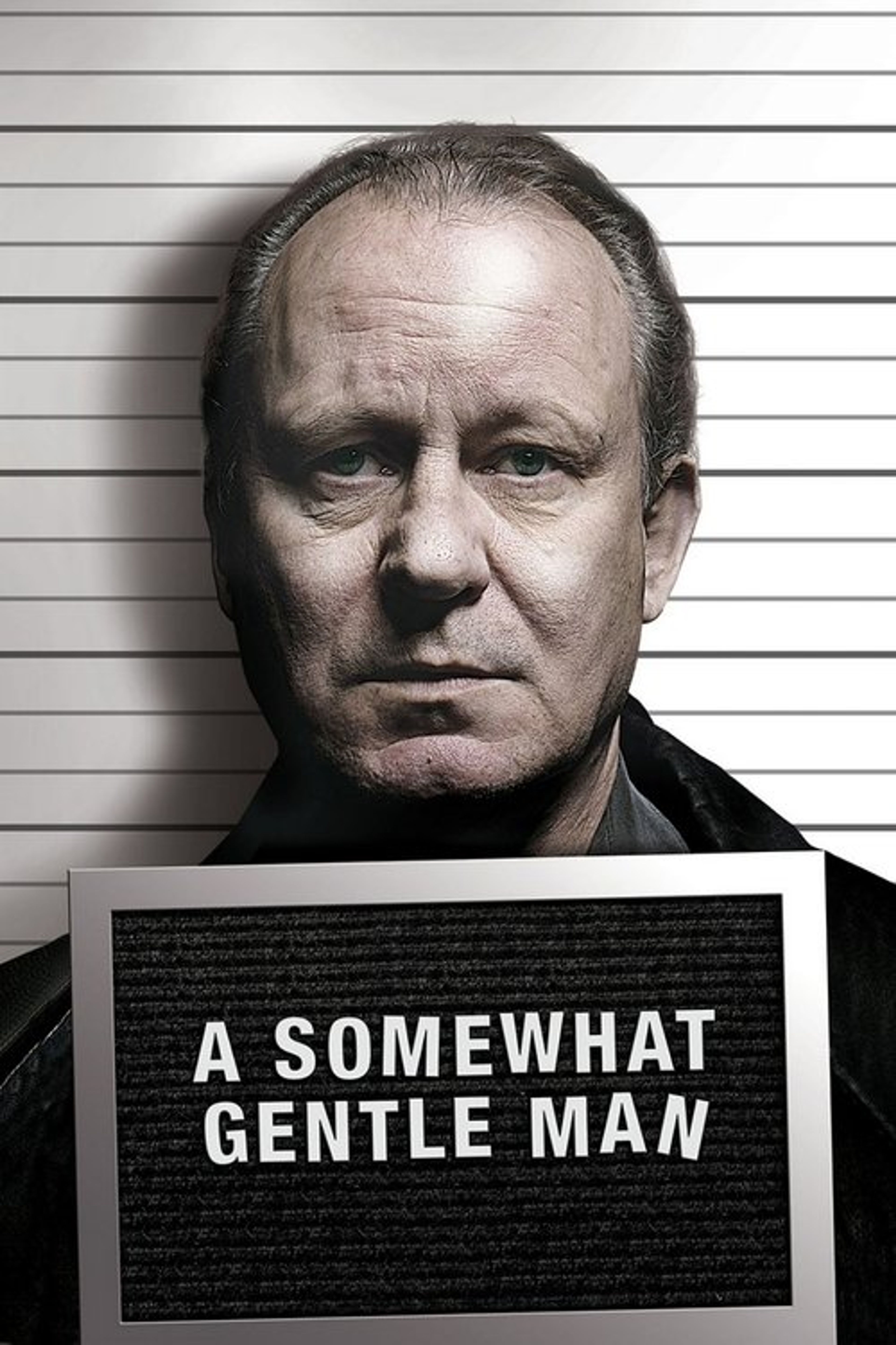 Poster image of A Somewhat Gentle Man