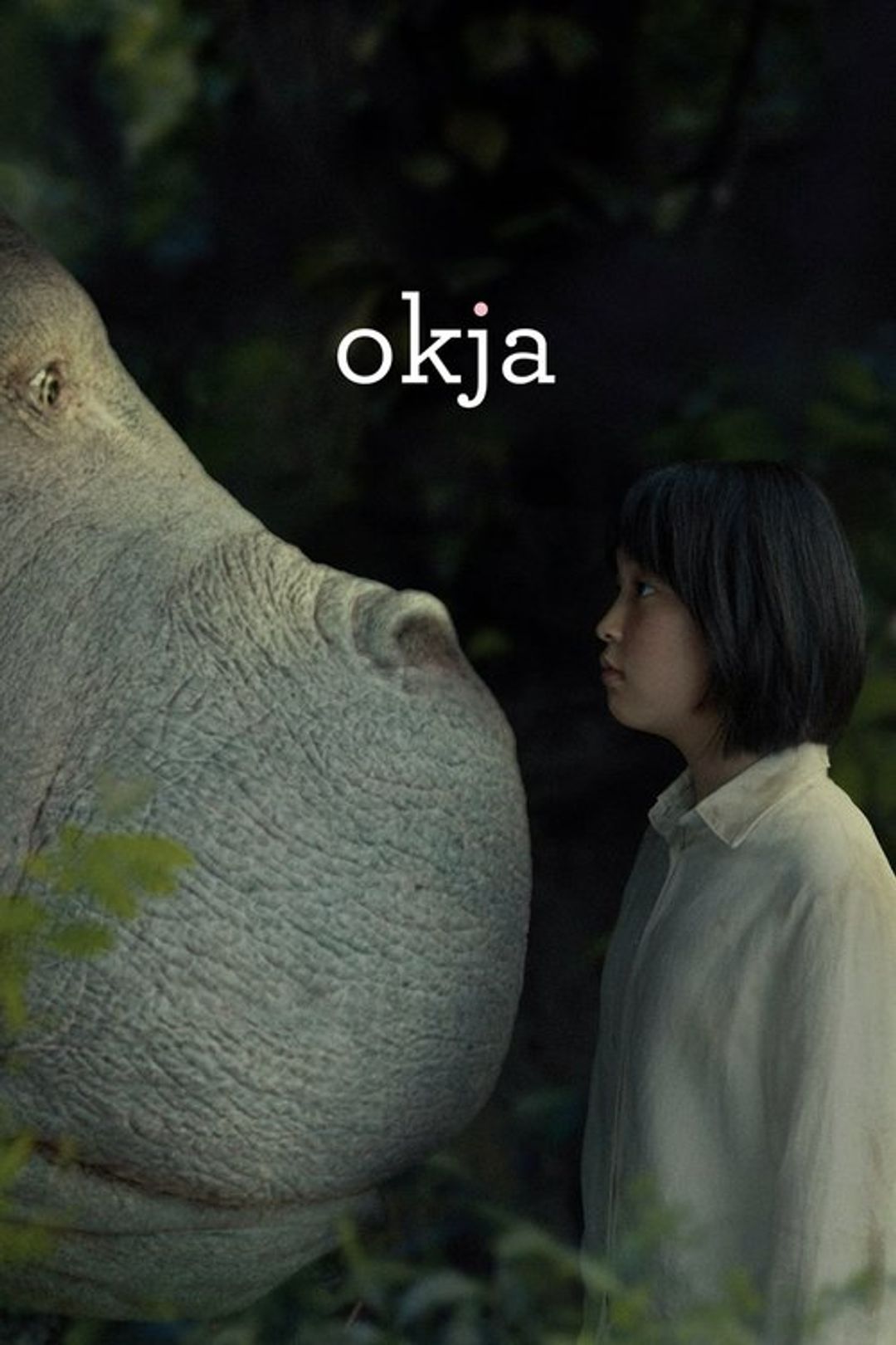 Poster image of Okja