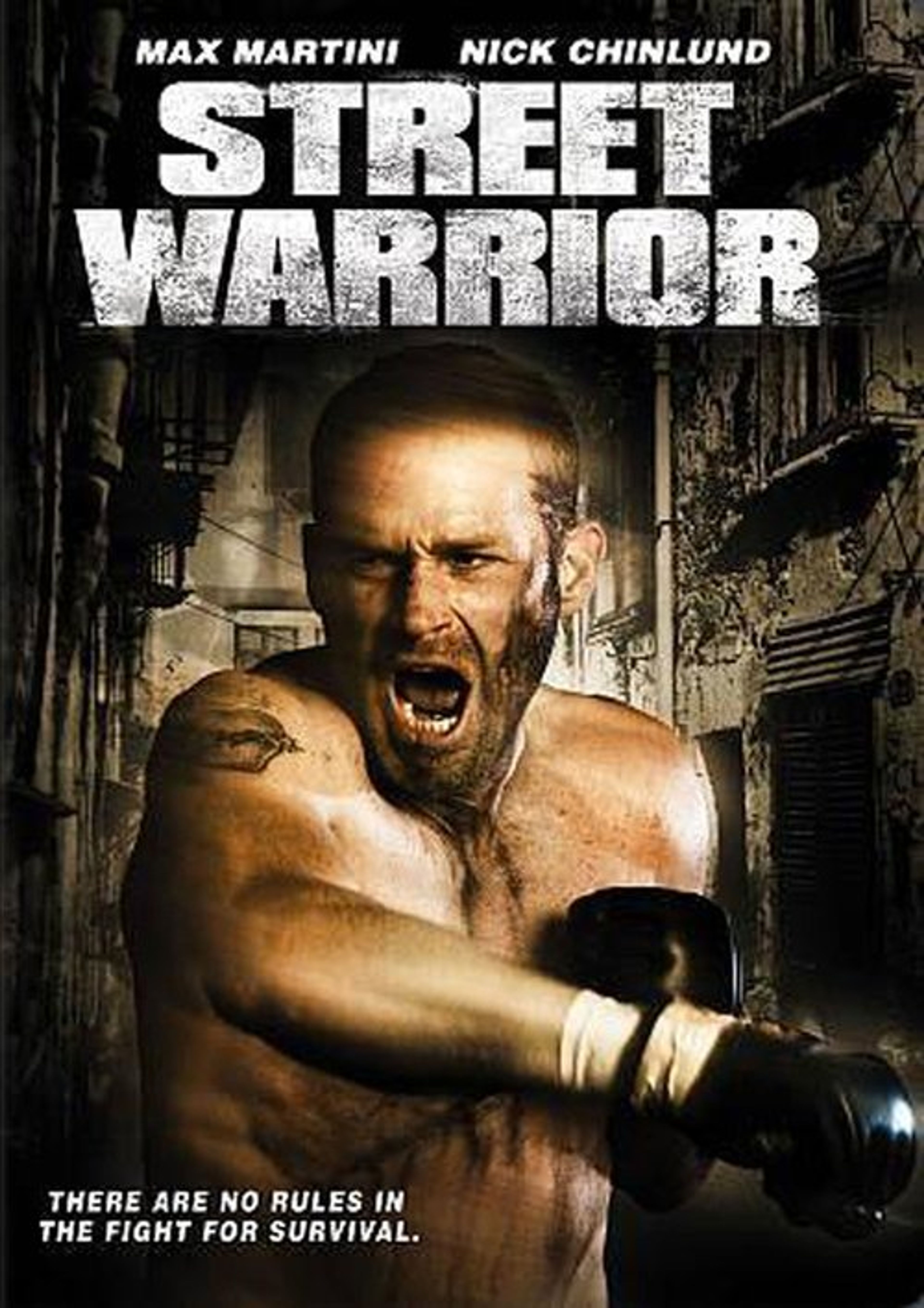 Poster image of Street Warrior