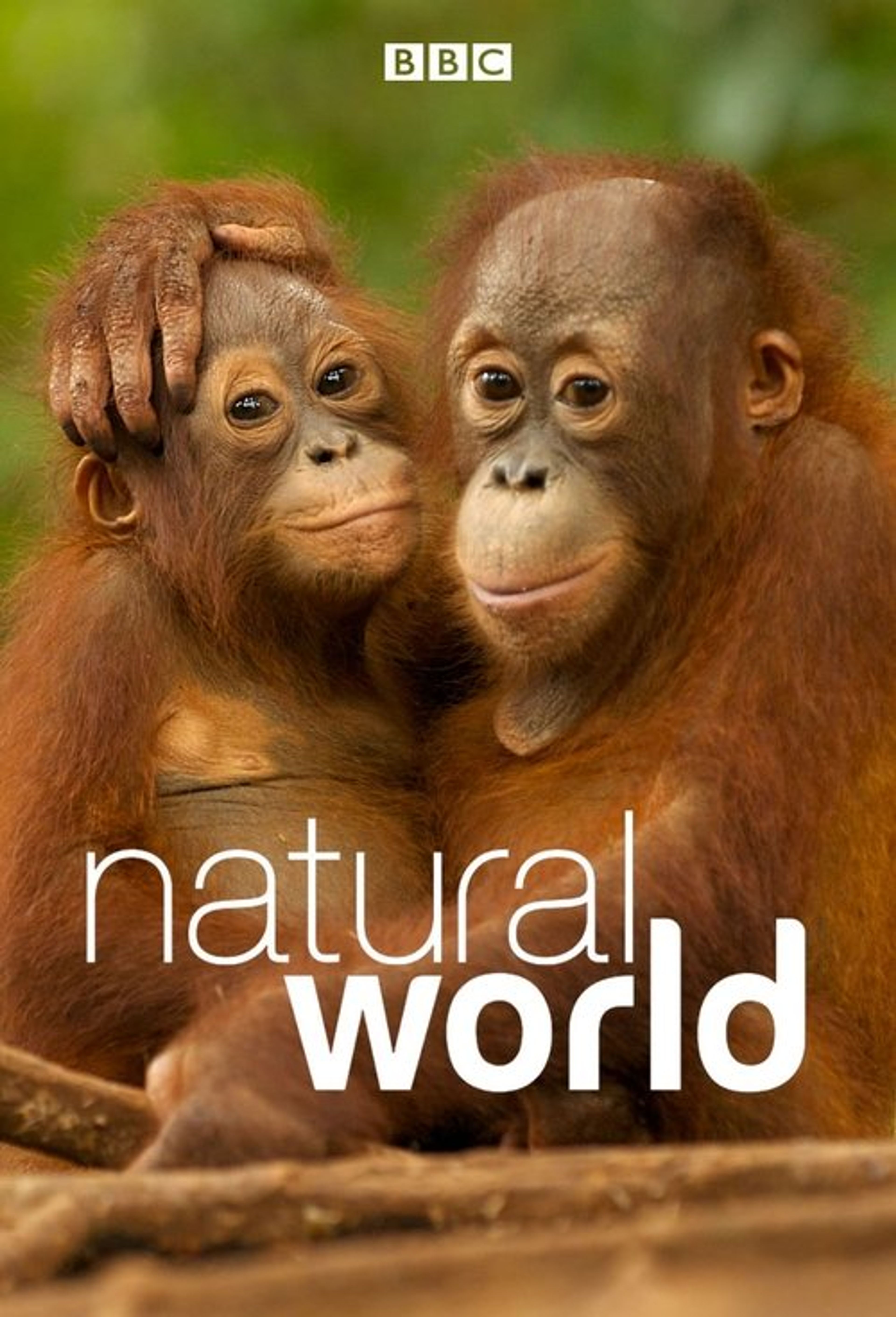 Poster image of Natural World