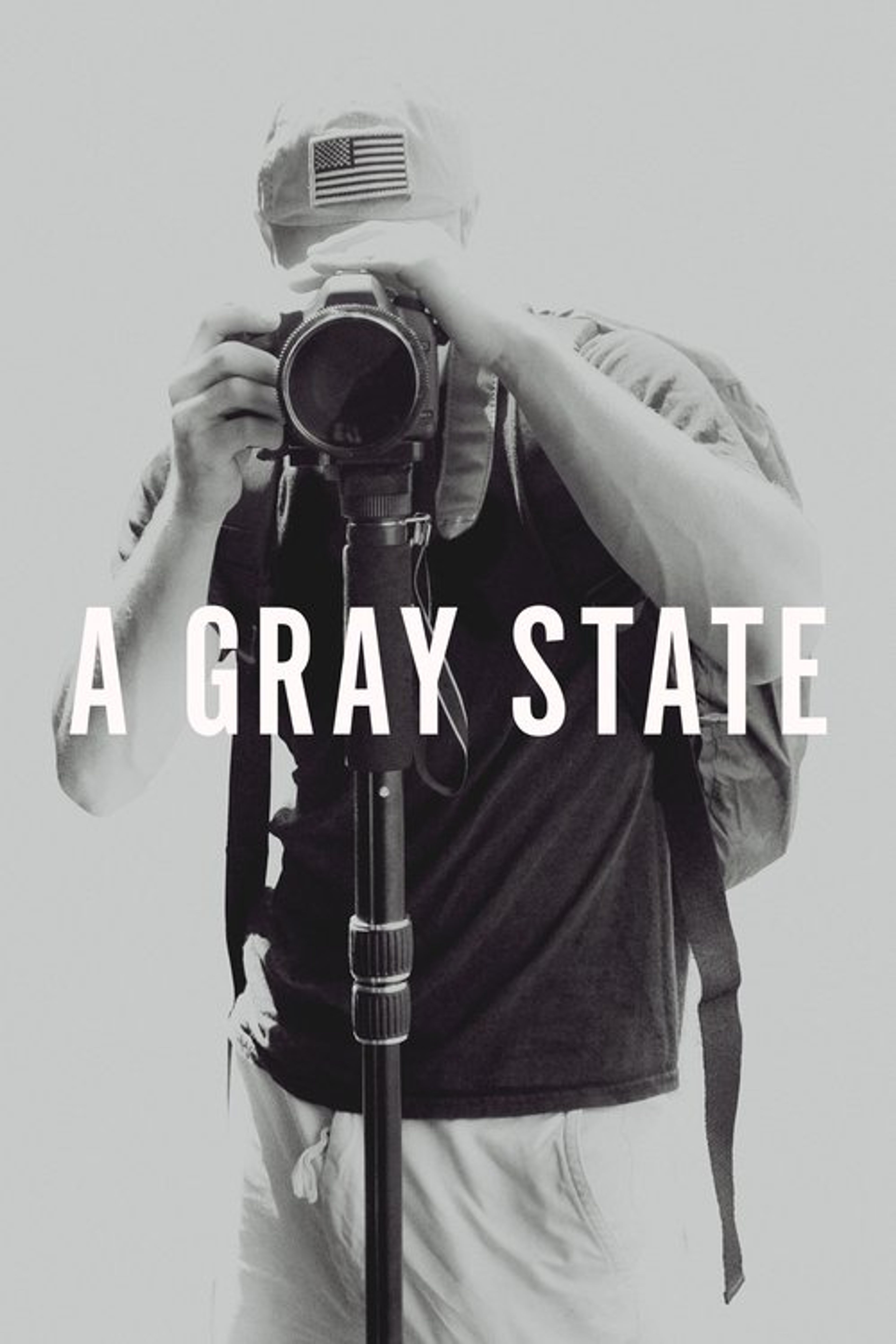 Poster image of A Gray State