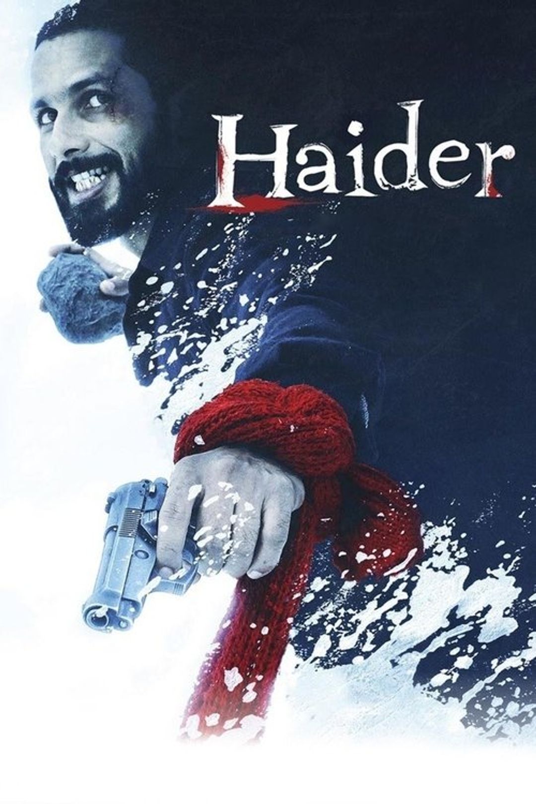 Poster image of Haider