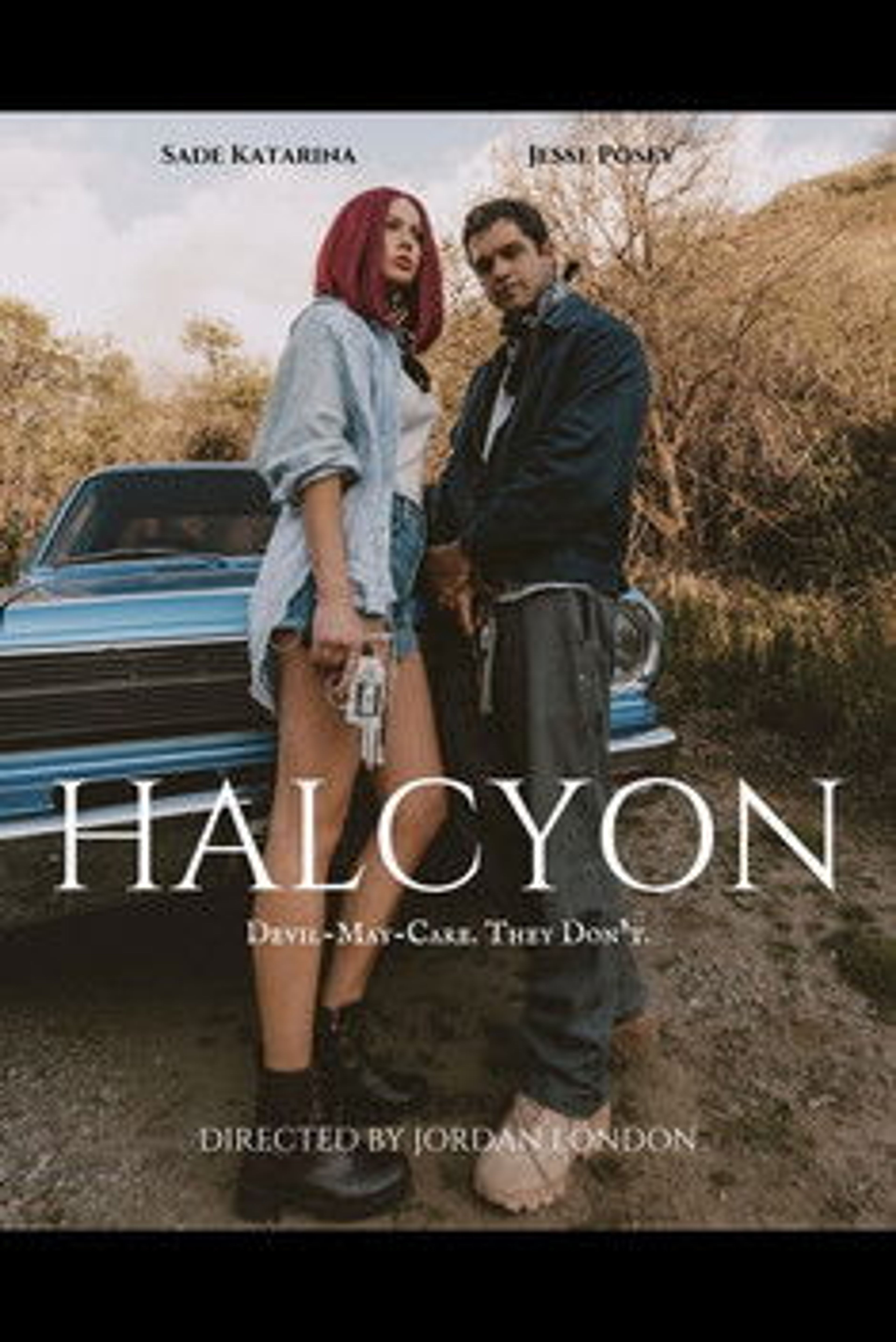 Poster image of Halcyon