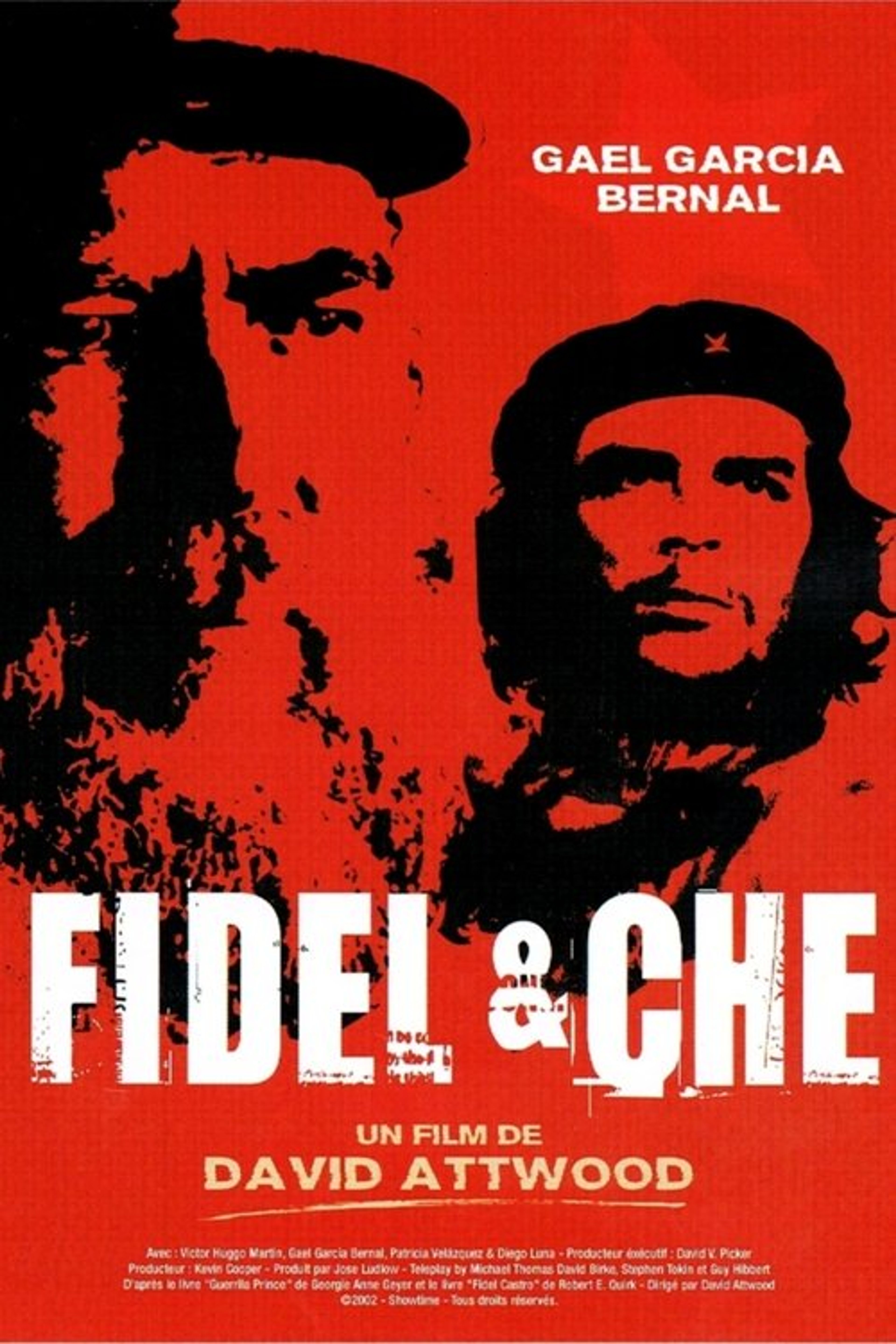 Poster image of Fidel