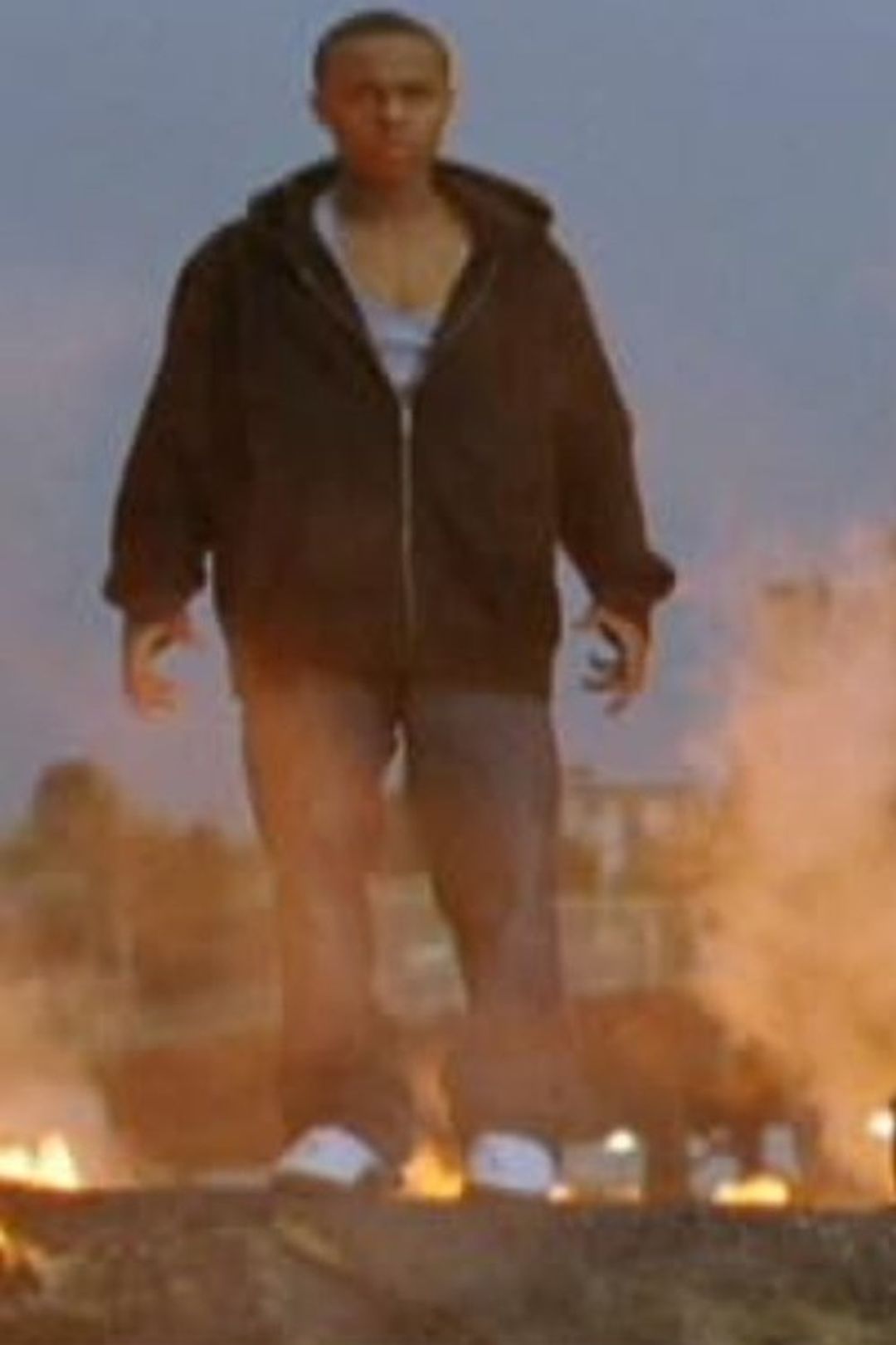 Poster image of Fallout