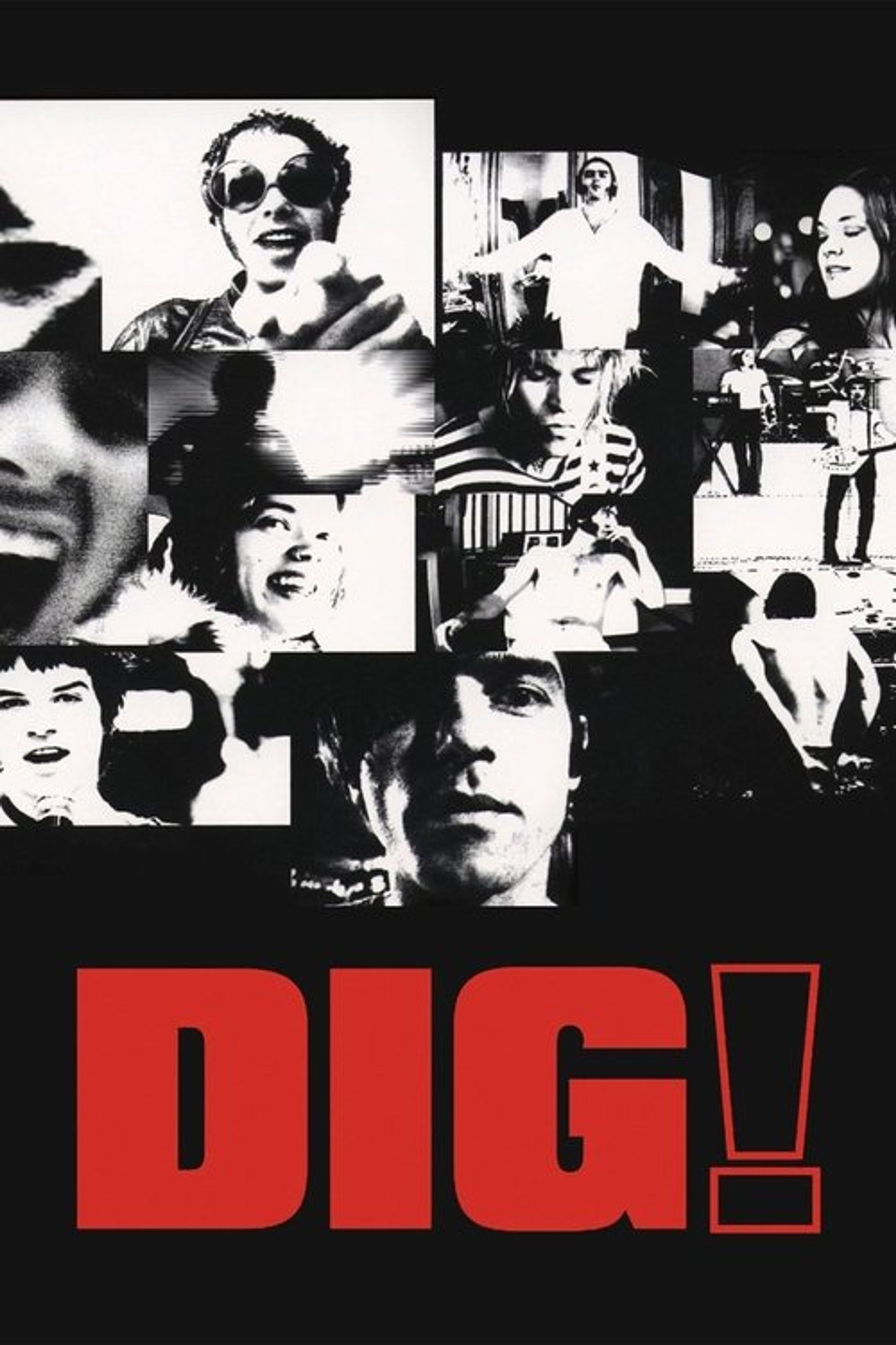 Poster image of Dig!