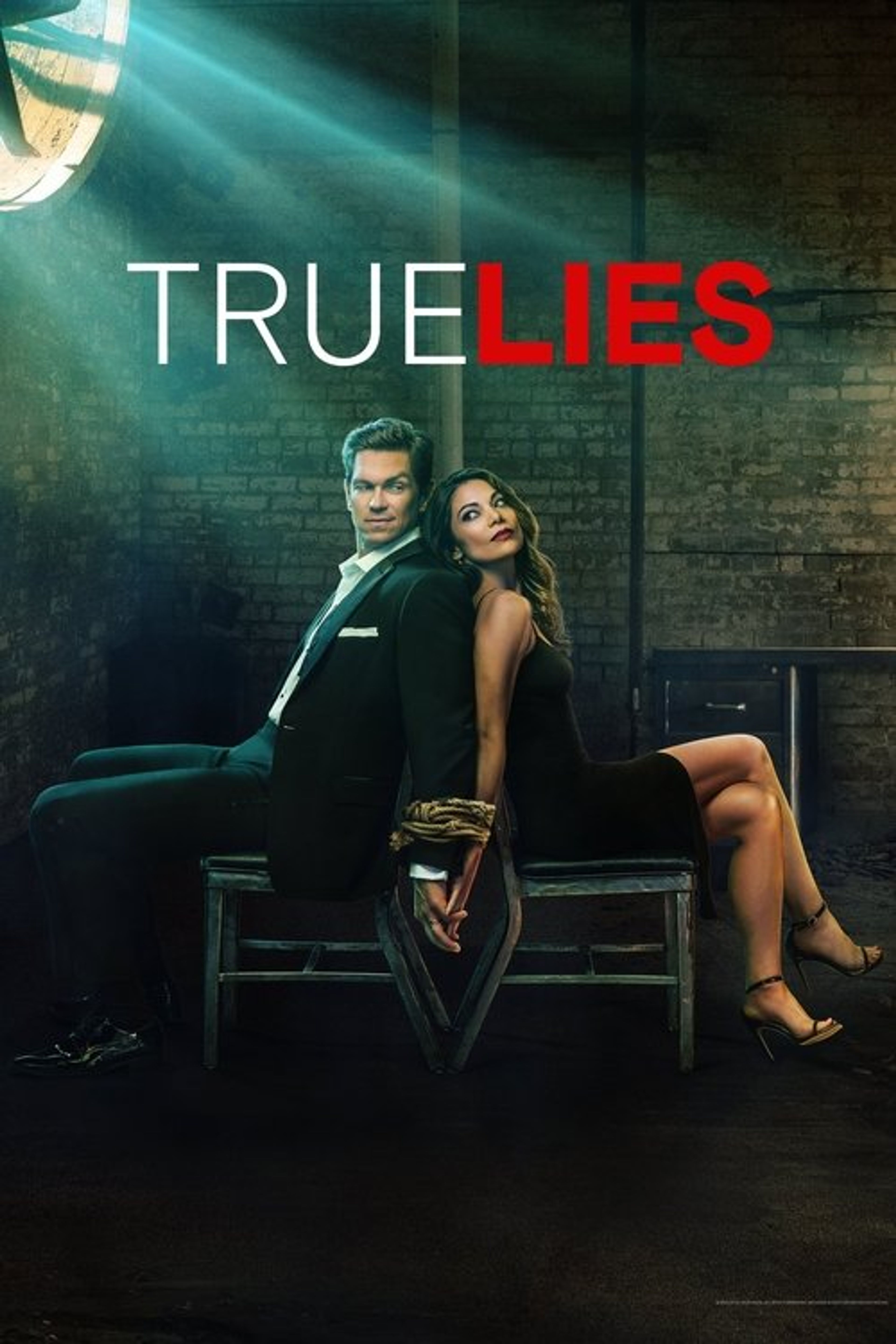 Poster image of True Lies