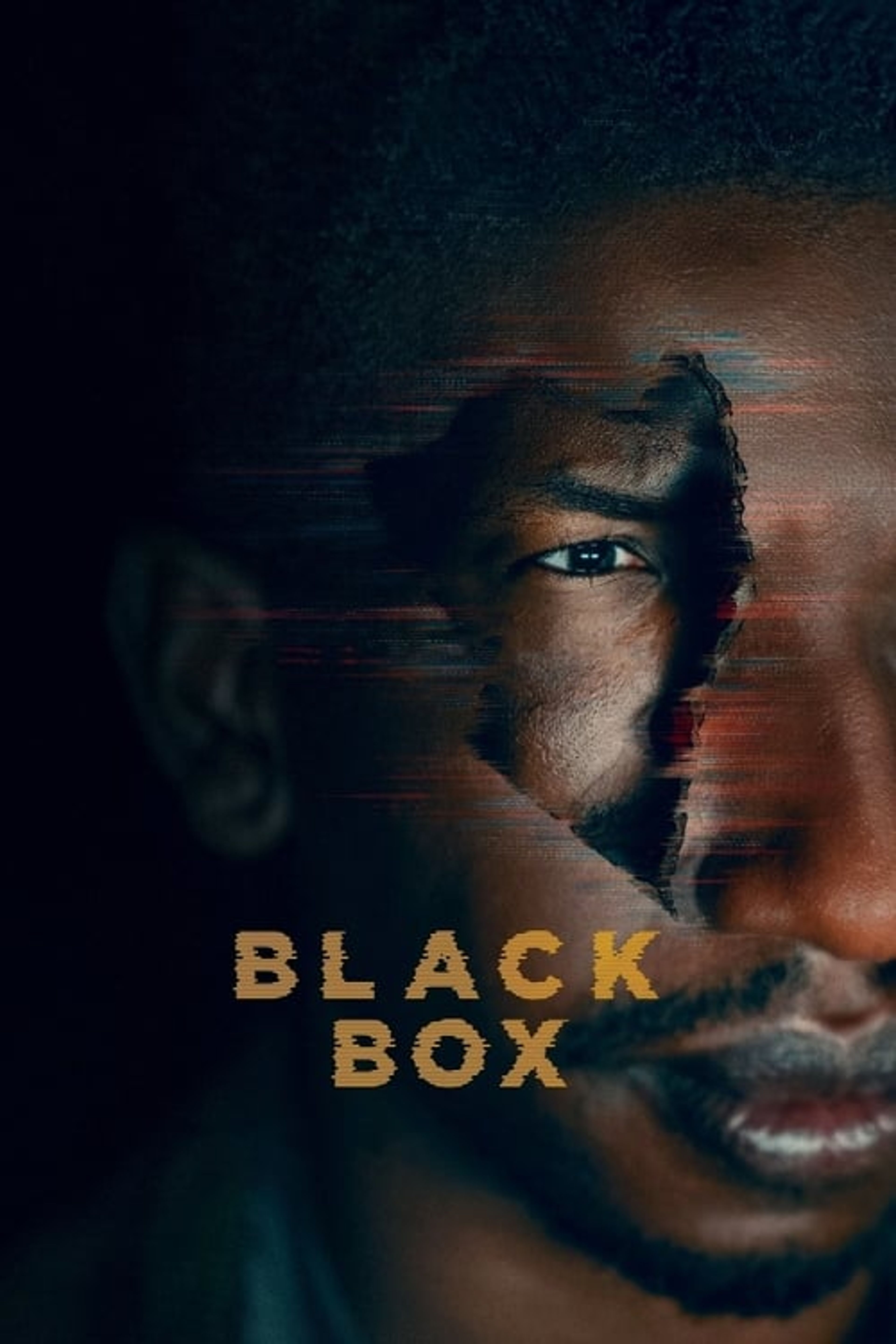 Poster image of Black Box