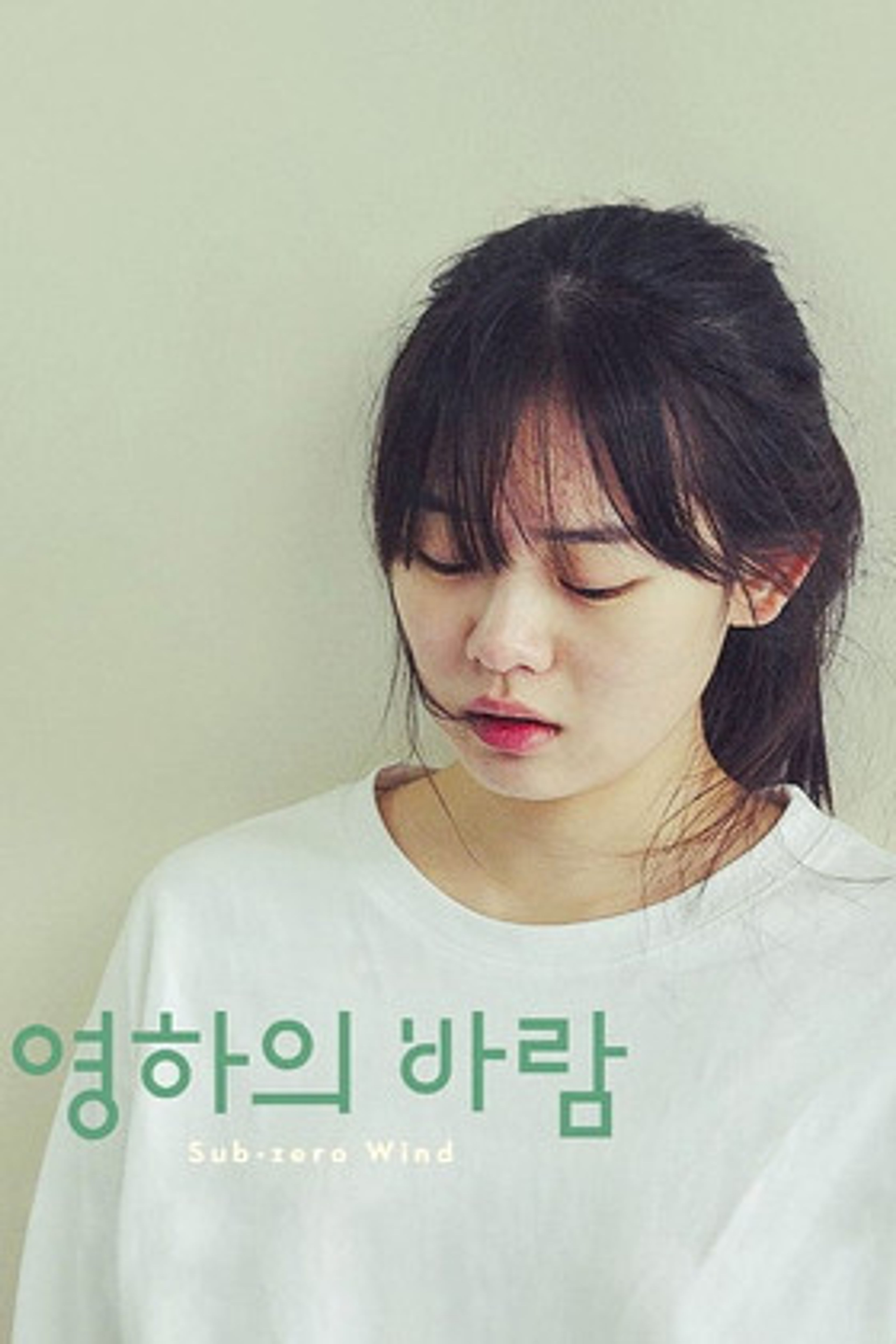 Poster image of Sub-zero Wind