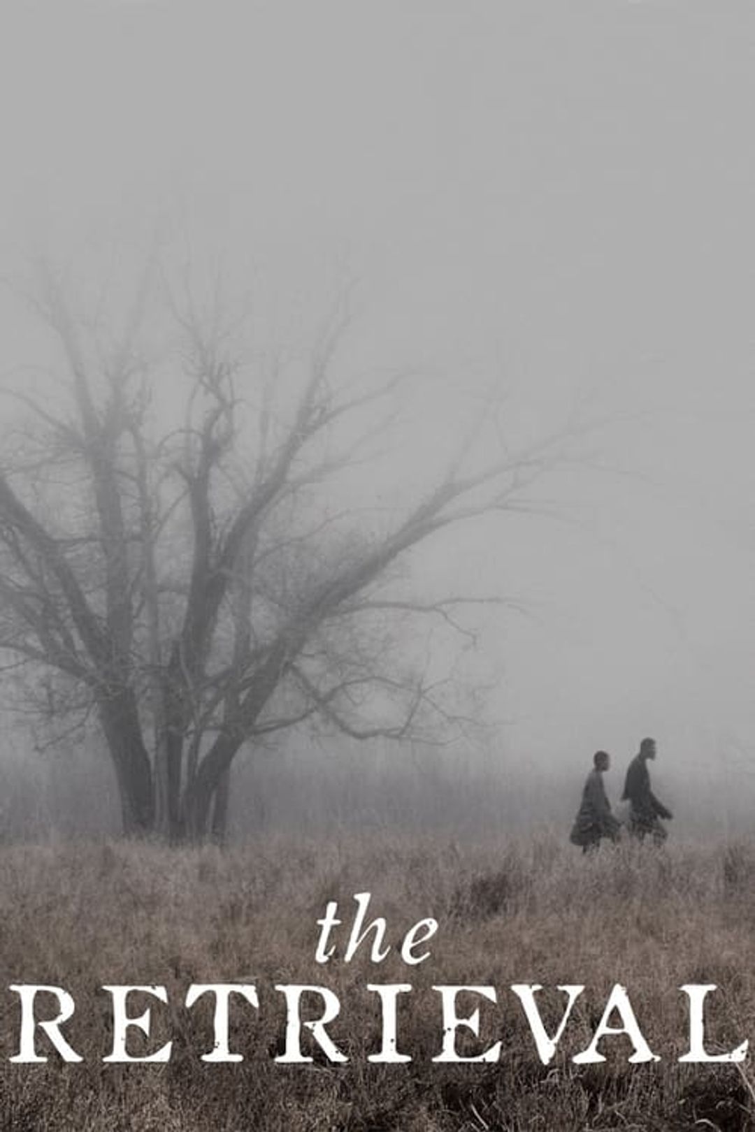 Poster image of The Retrieval