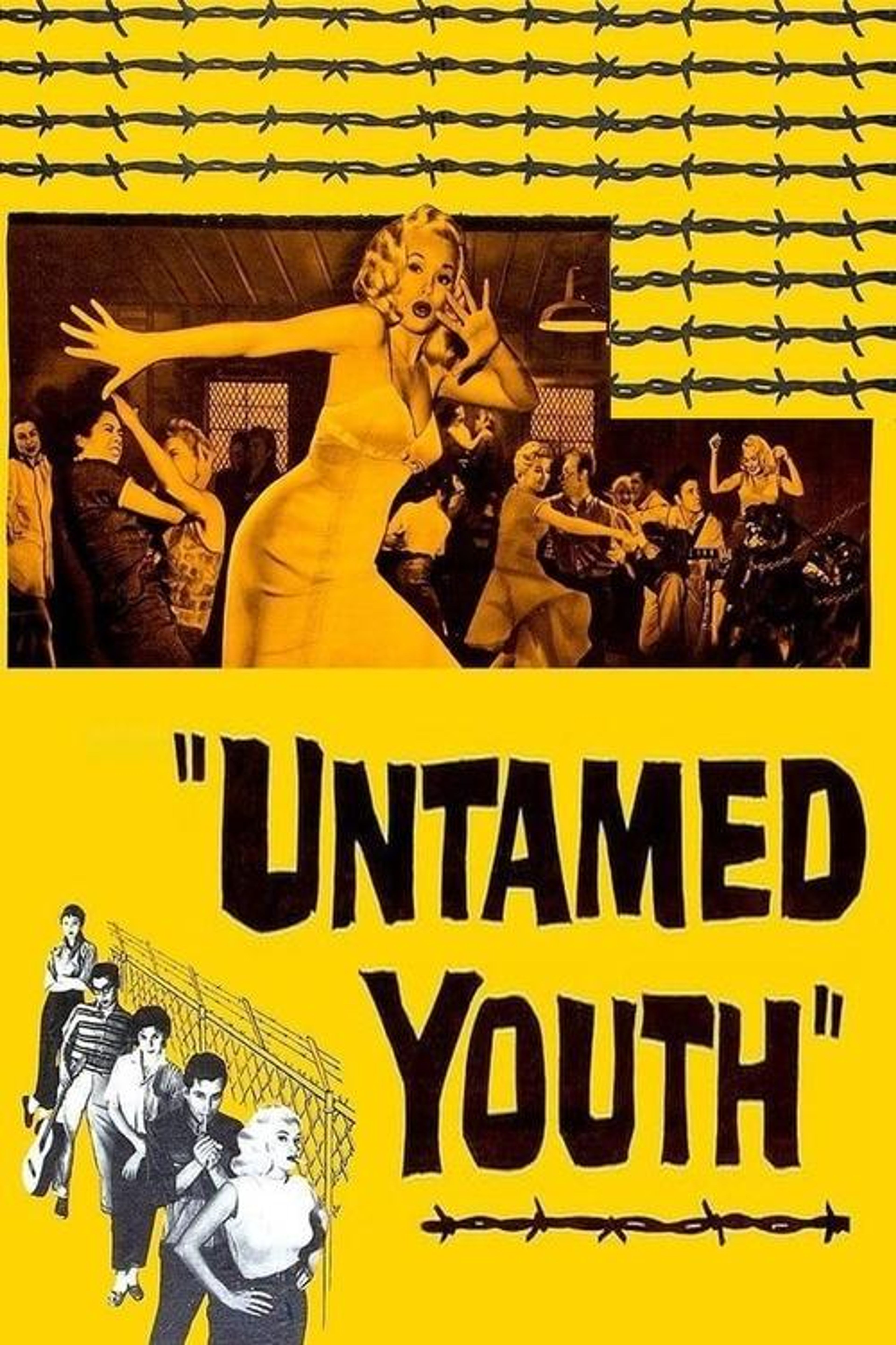 Poster image of Untamed Youth