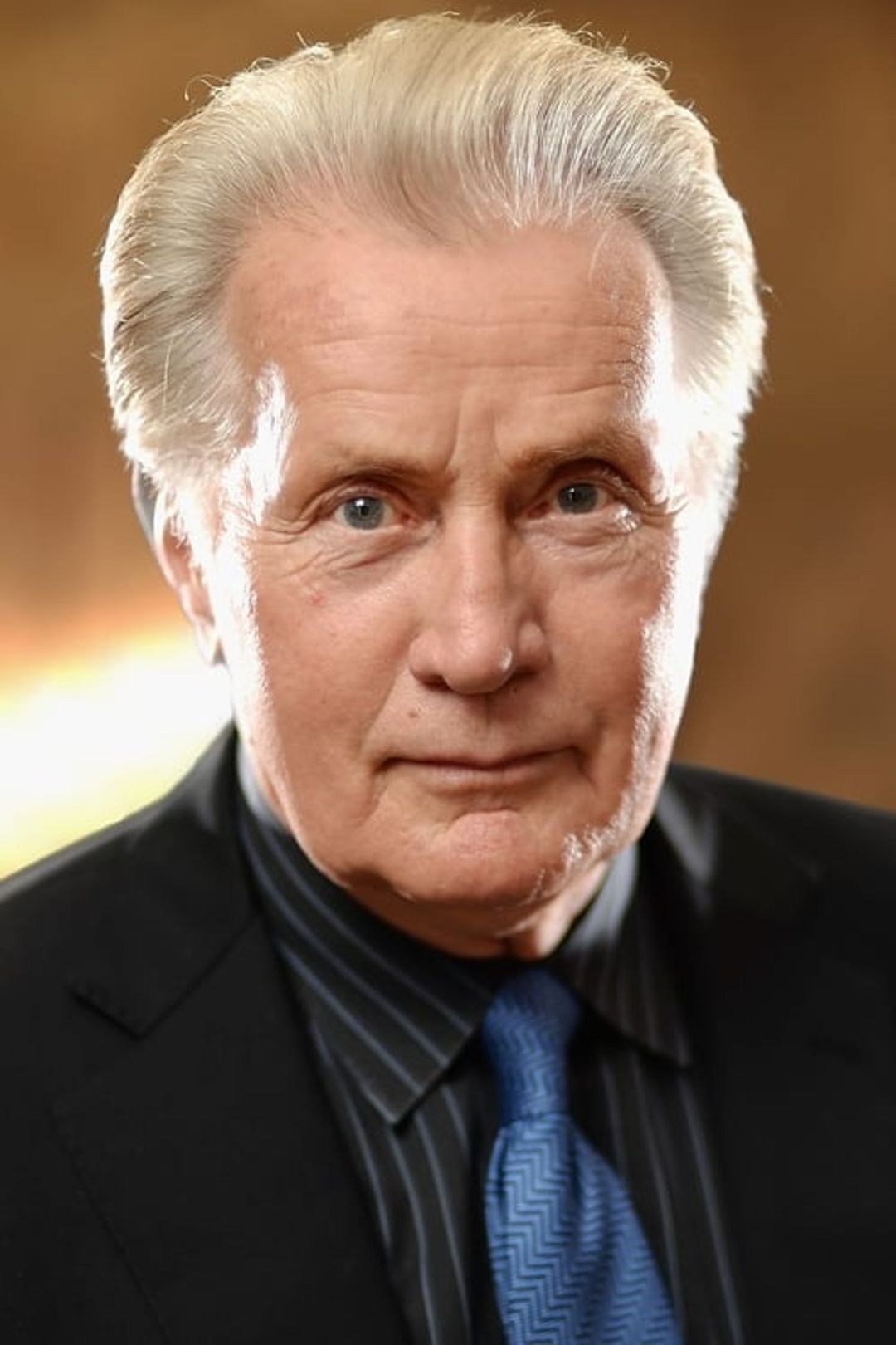 Profile image of Martin Sheen