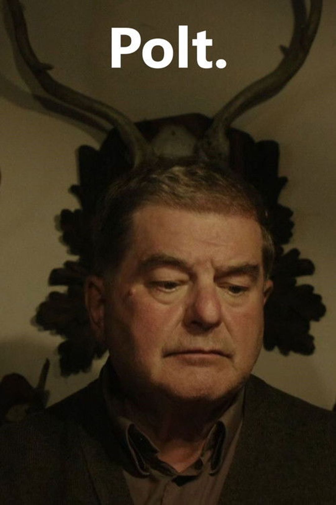 Poster image of Polt.