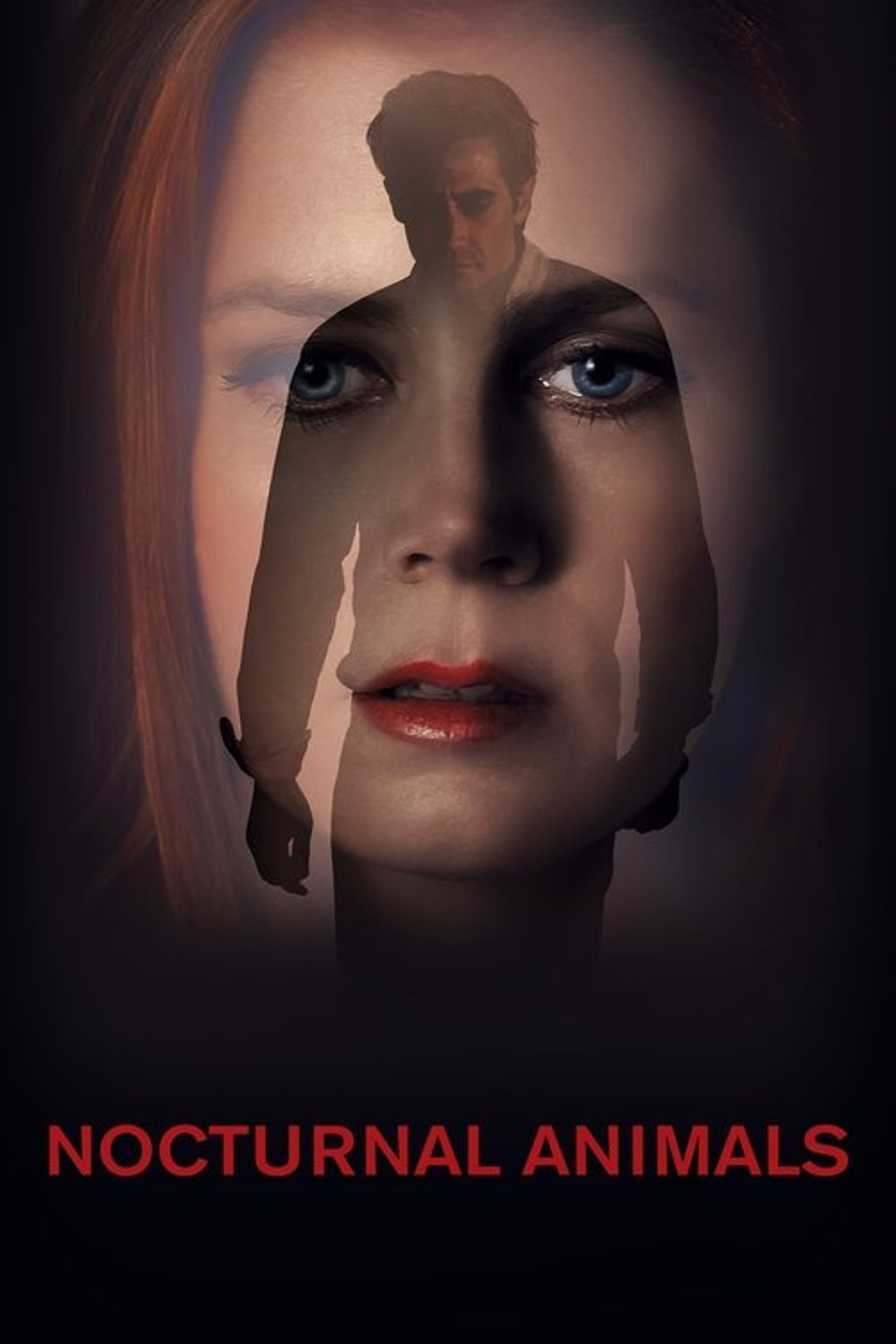 Poster image of Nocturnal Animals