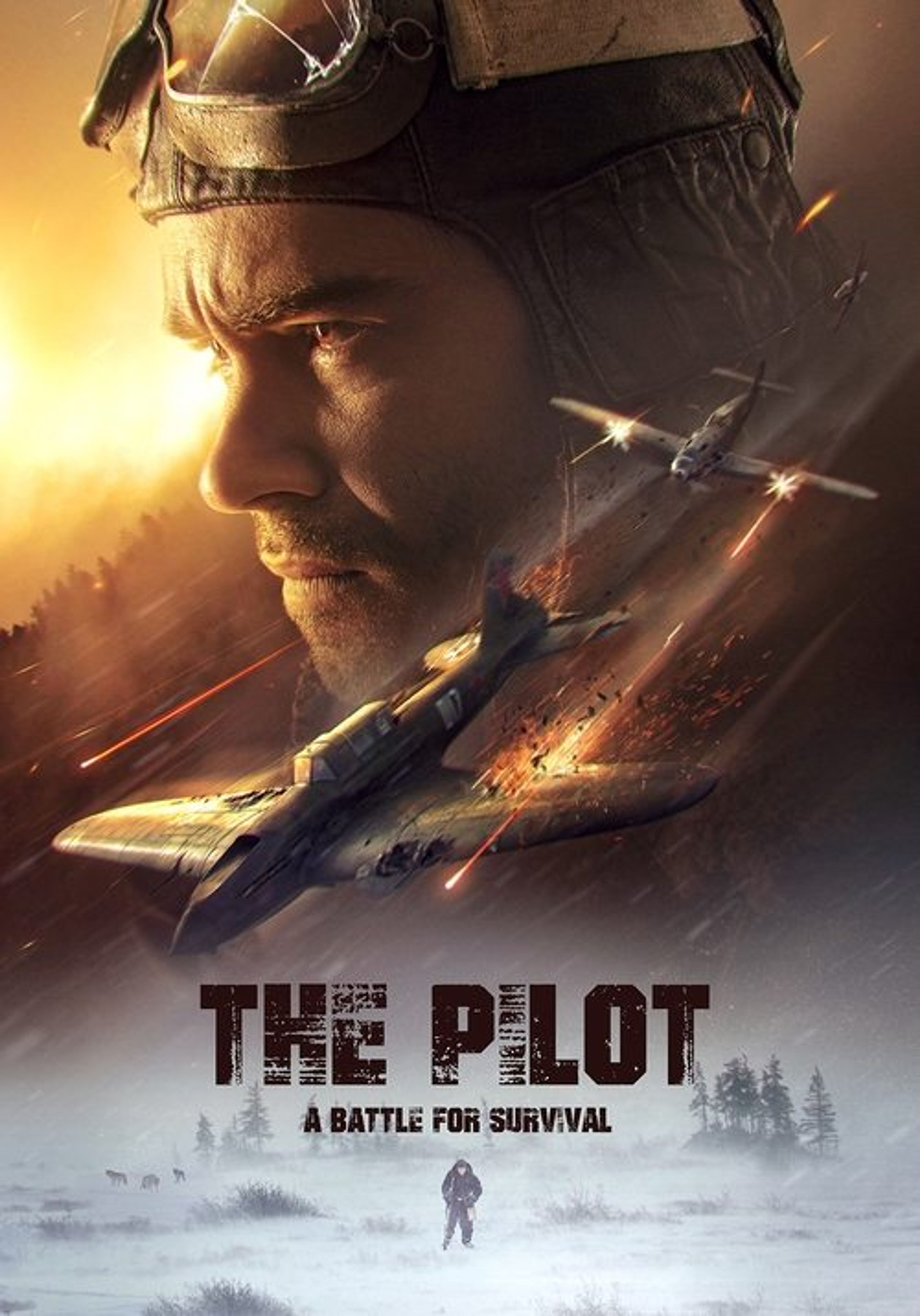 Poster image of The Pilot: A Battle for Survival