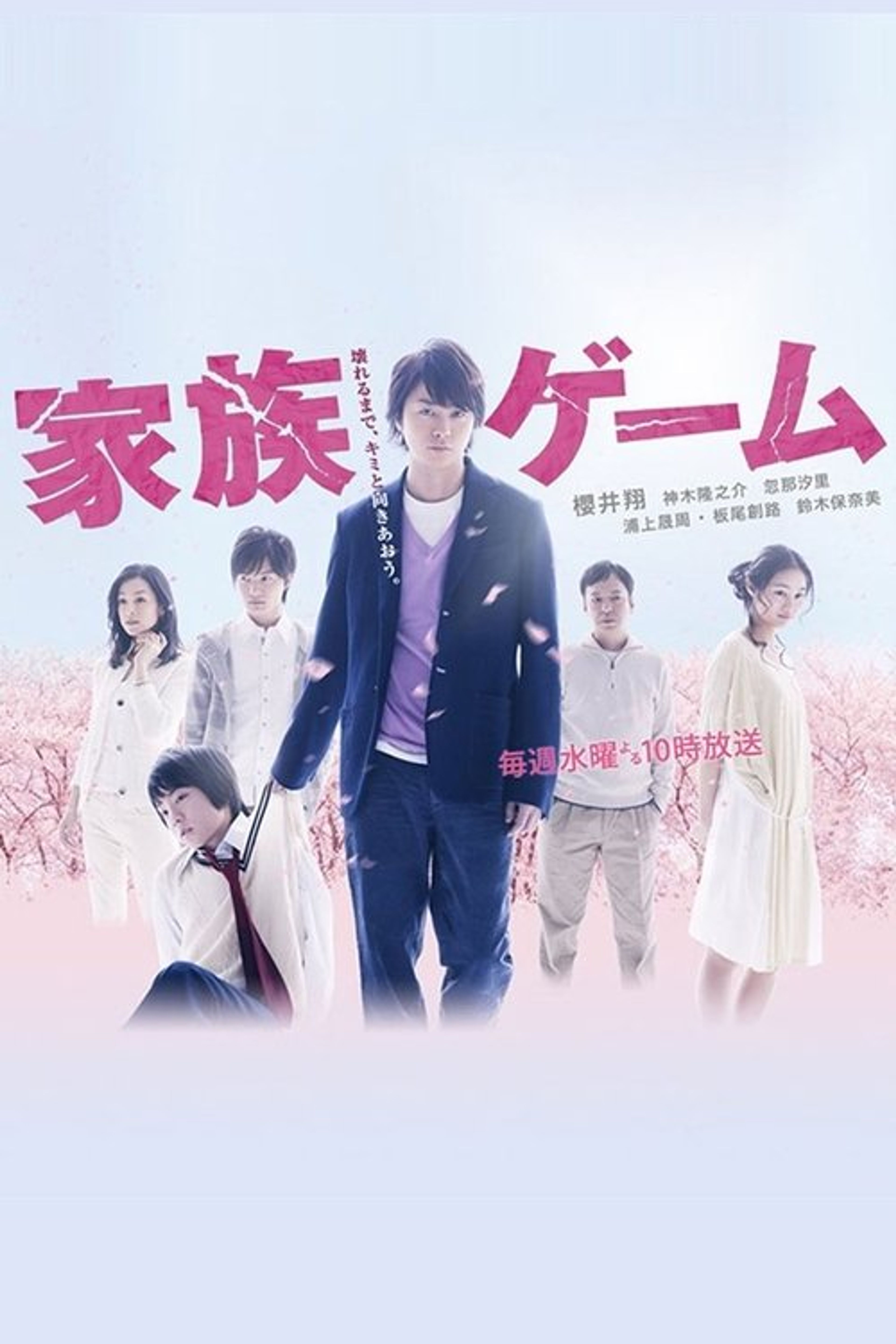 Poster image of The Family Game