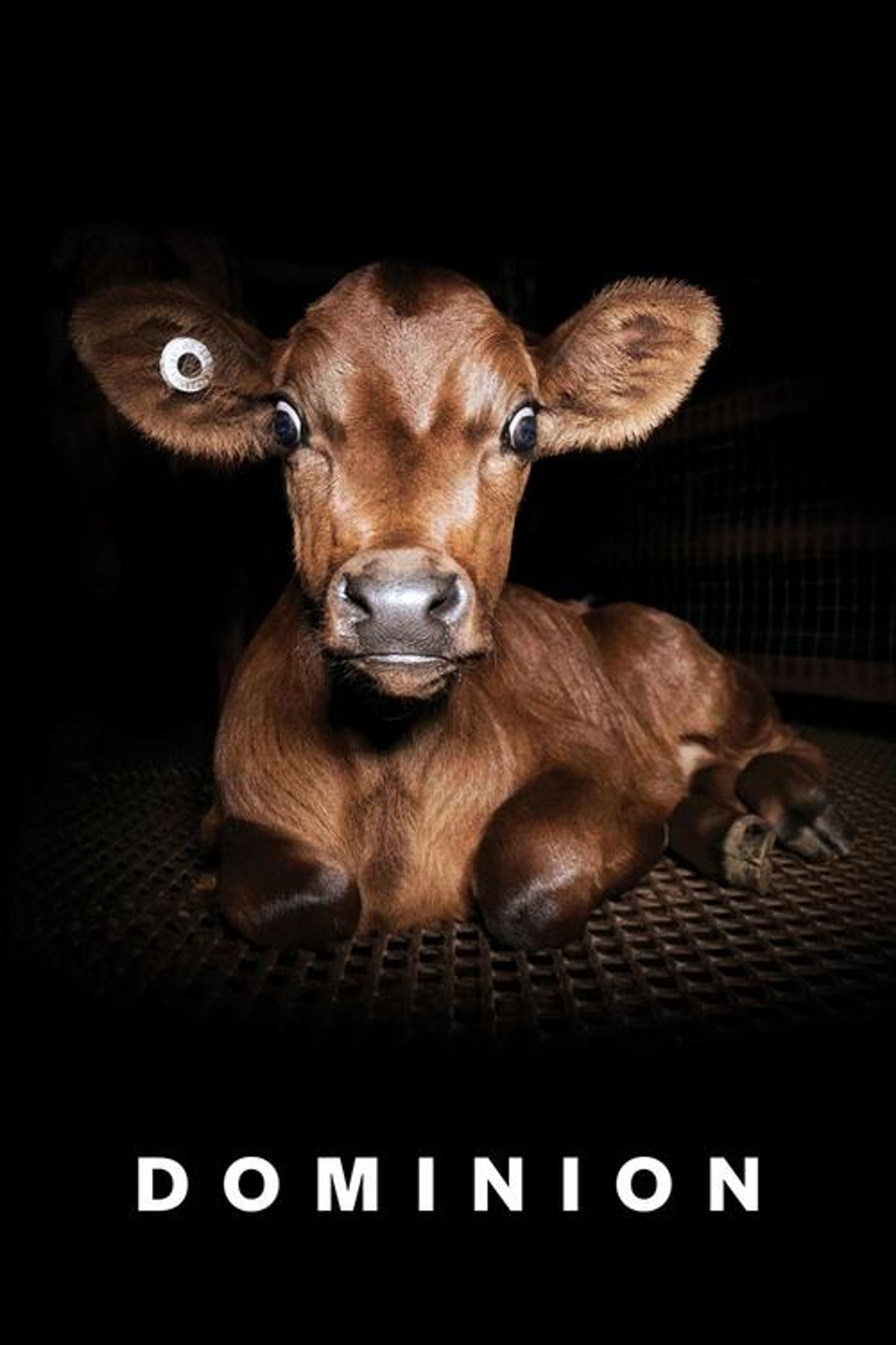 Poster image of Dominion