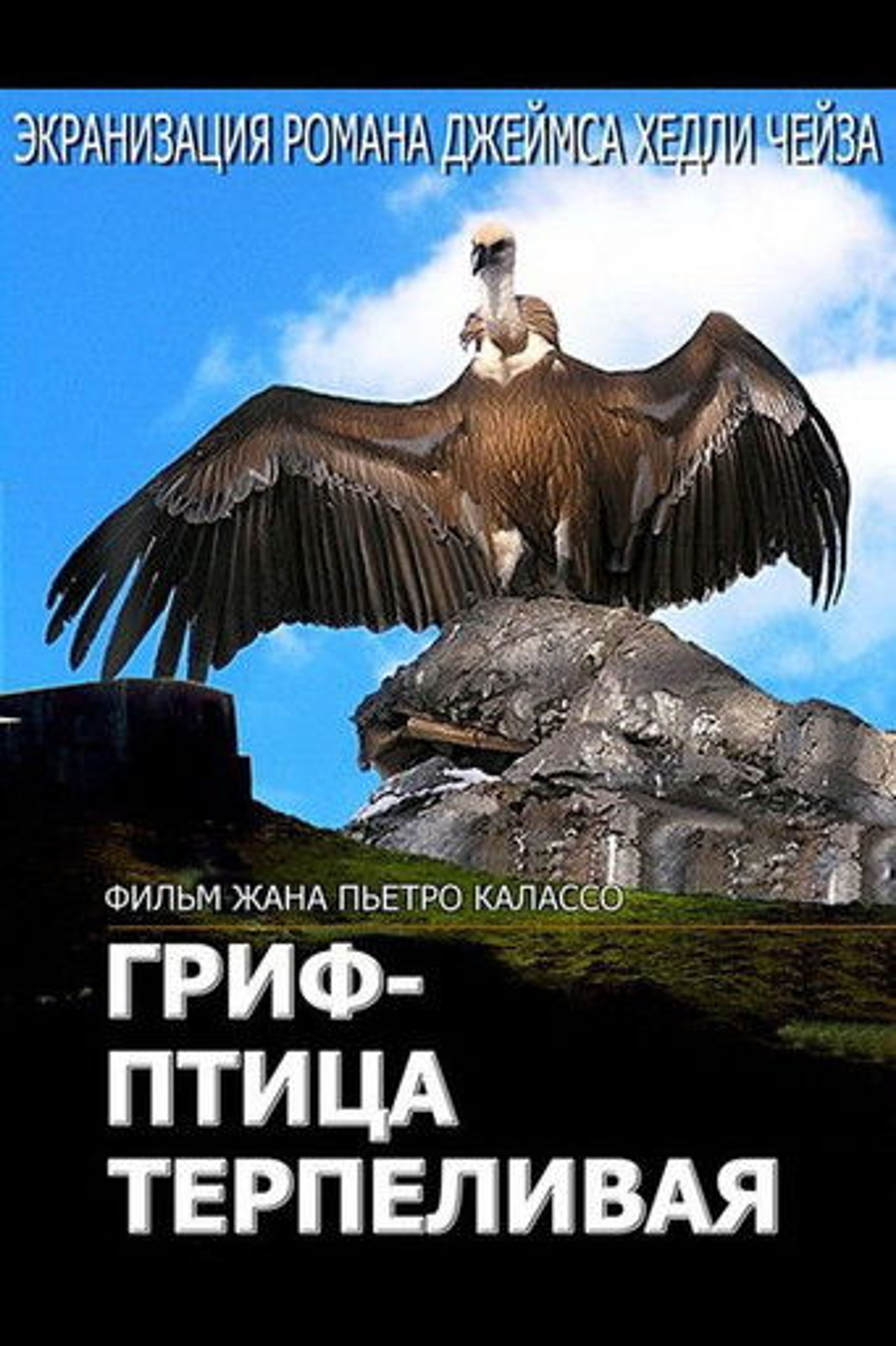Poster image of The Vulture Is a Patient Bird