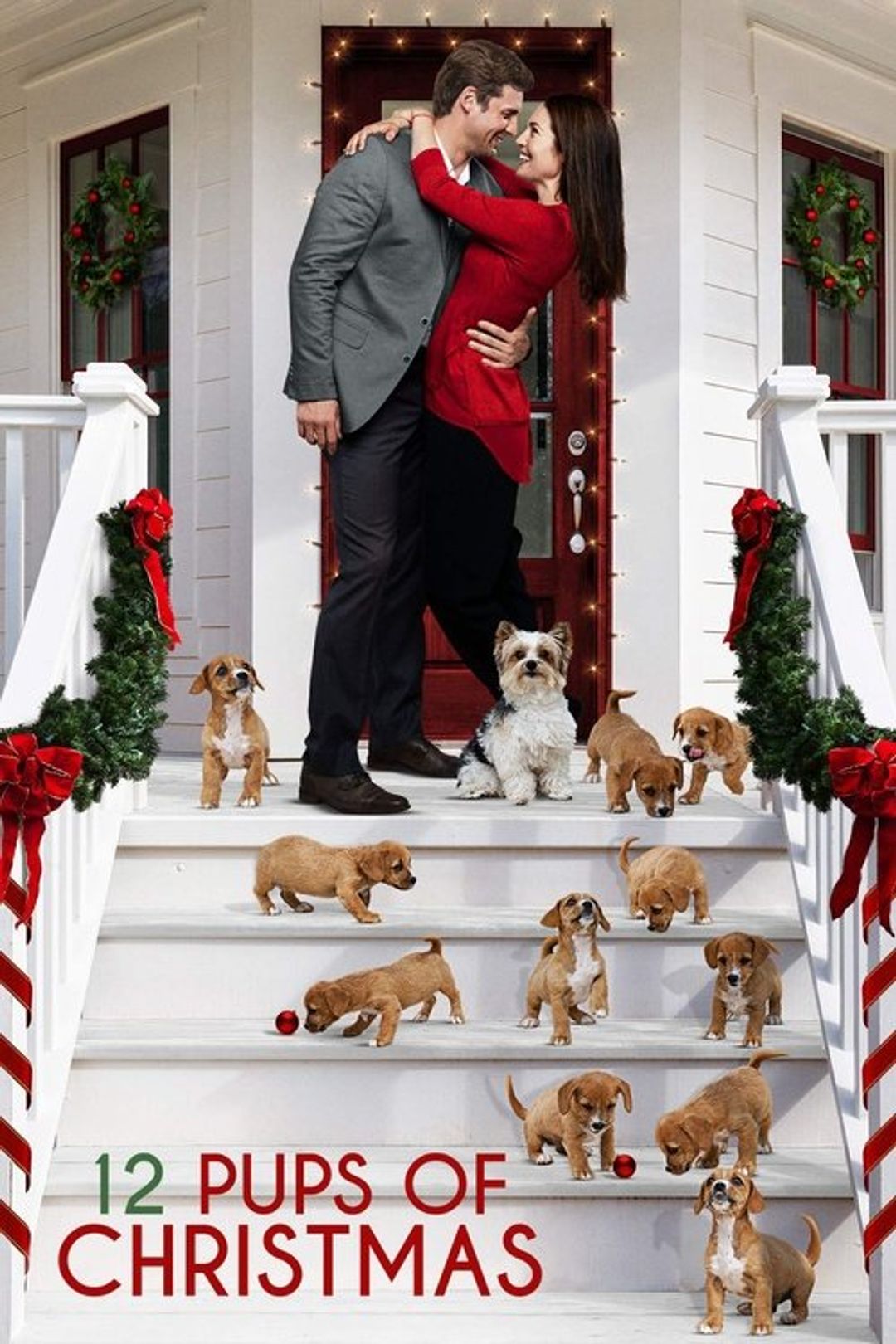 Poster image of 12 Pups of Christmas