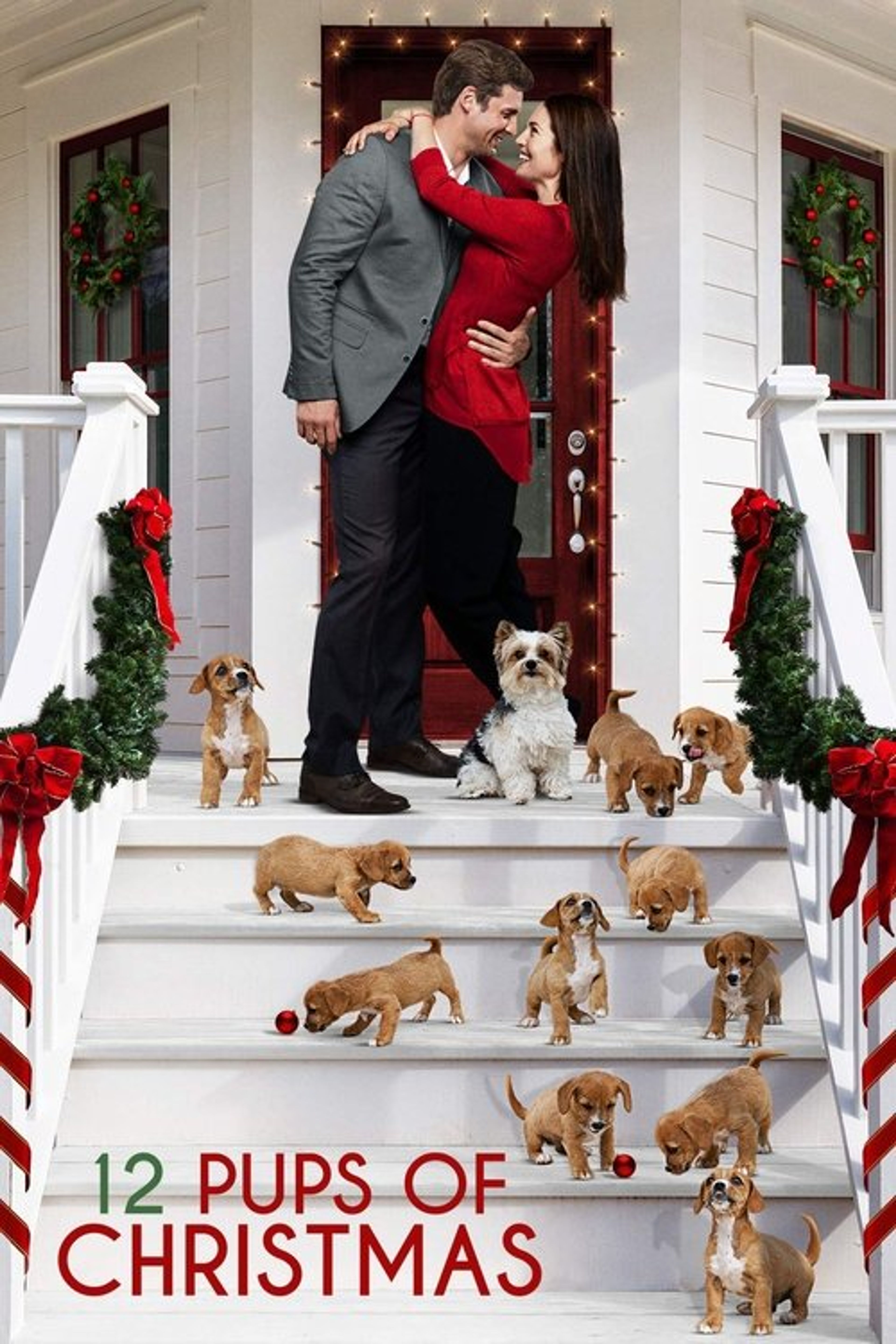 Poster image of 12 Pups of Christmas
