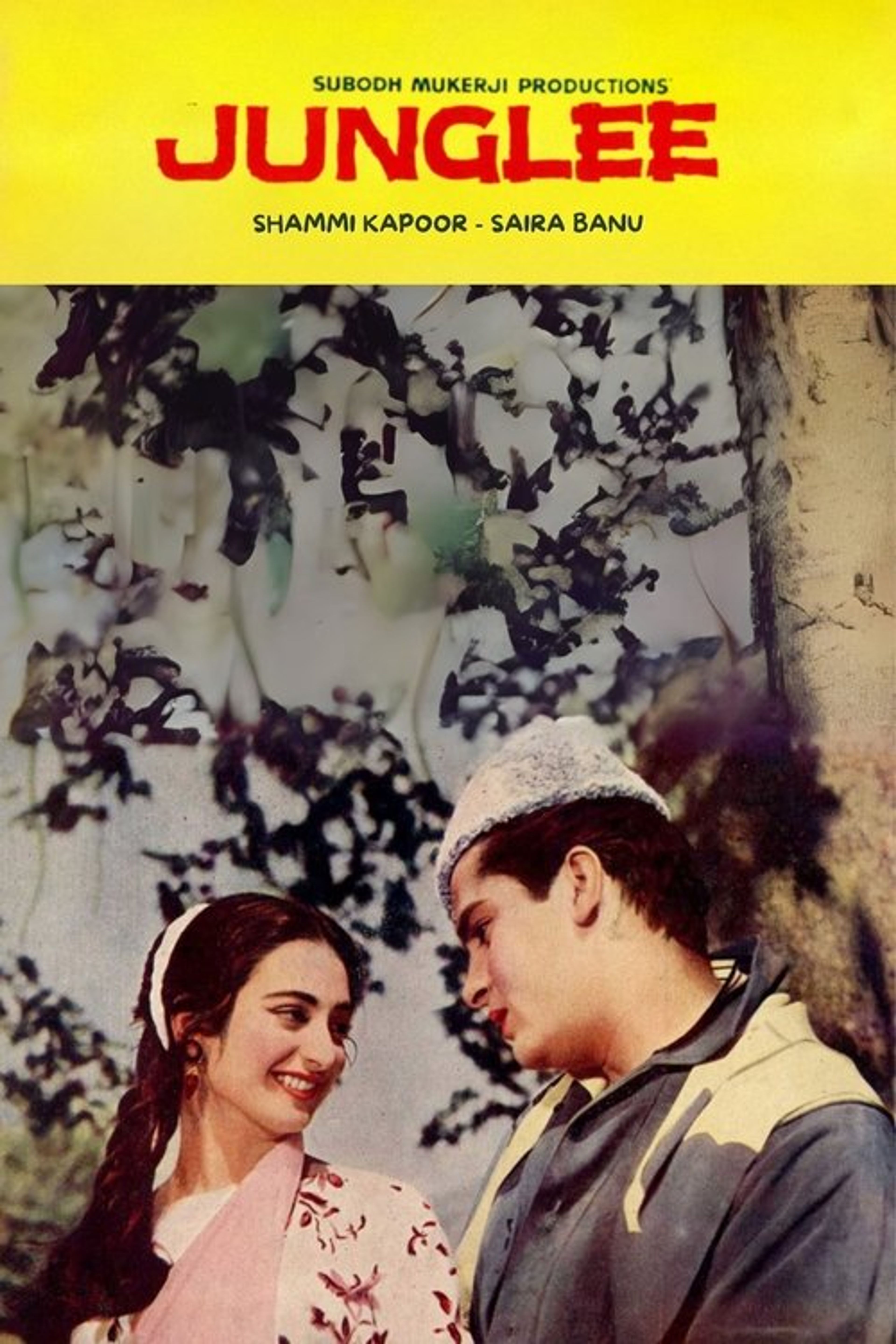 Poster image of Junglee