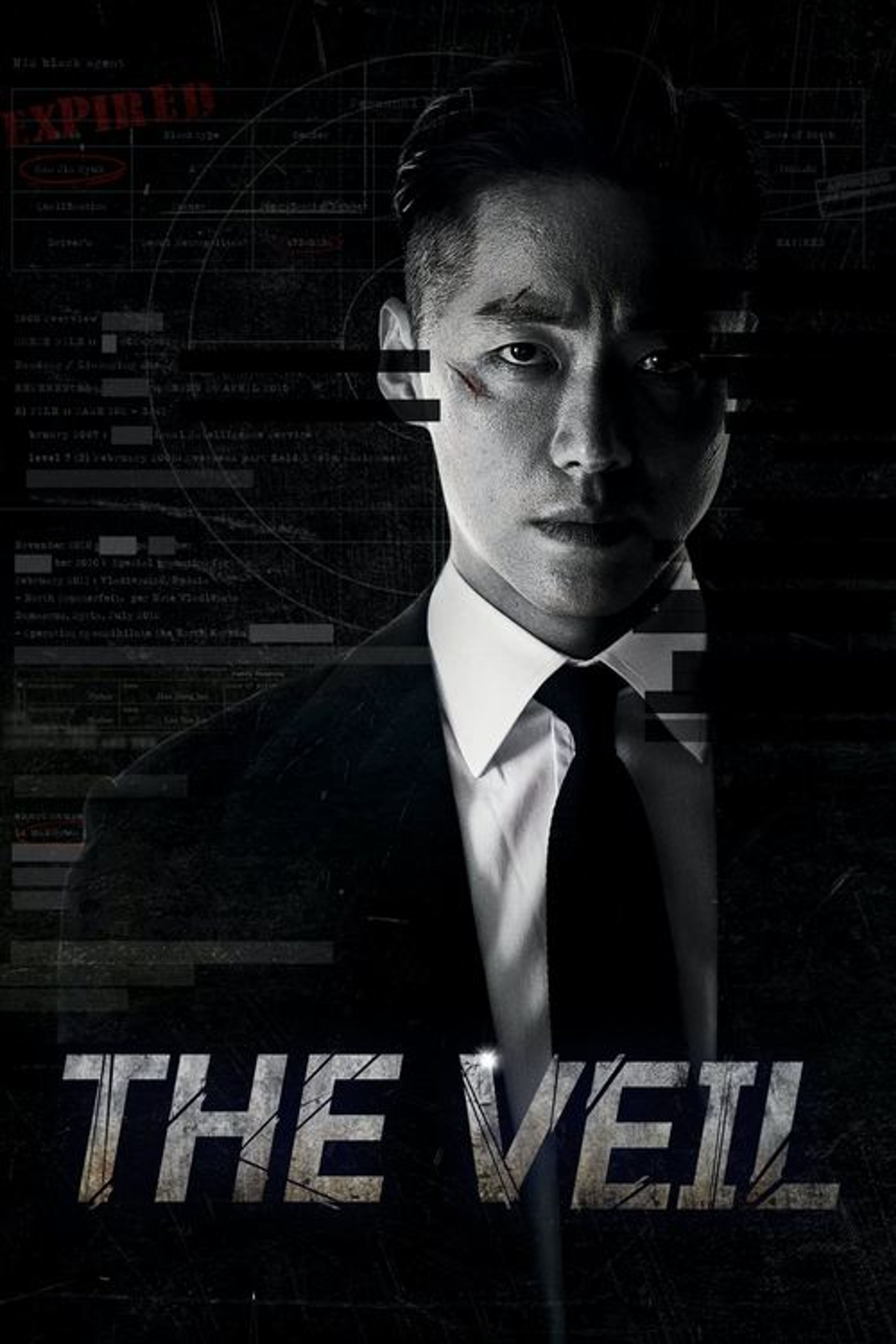 Poster image of The Veil