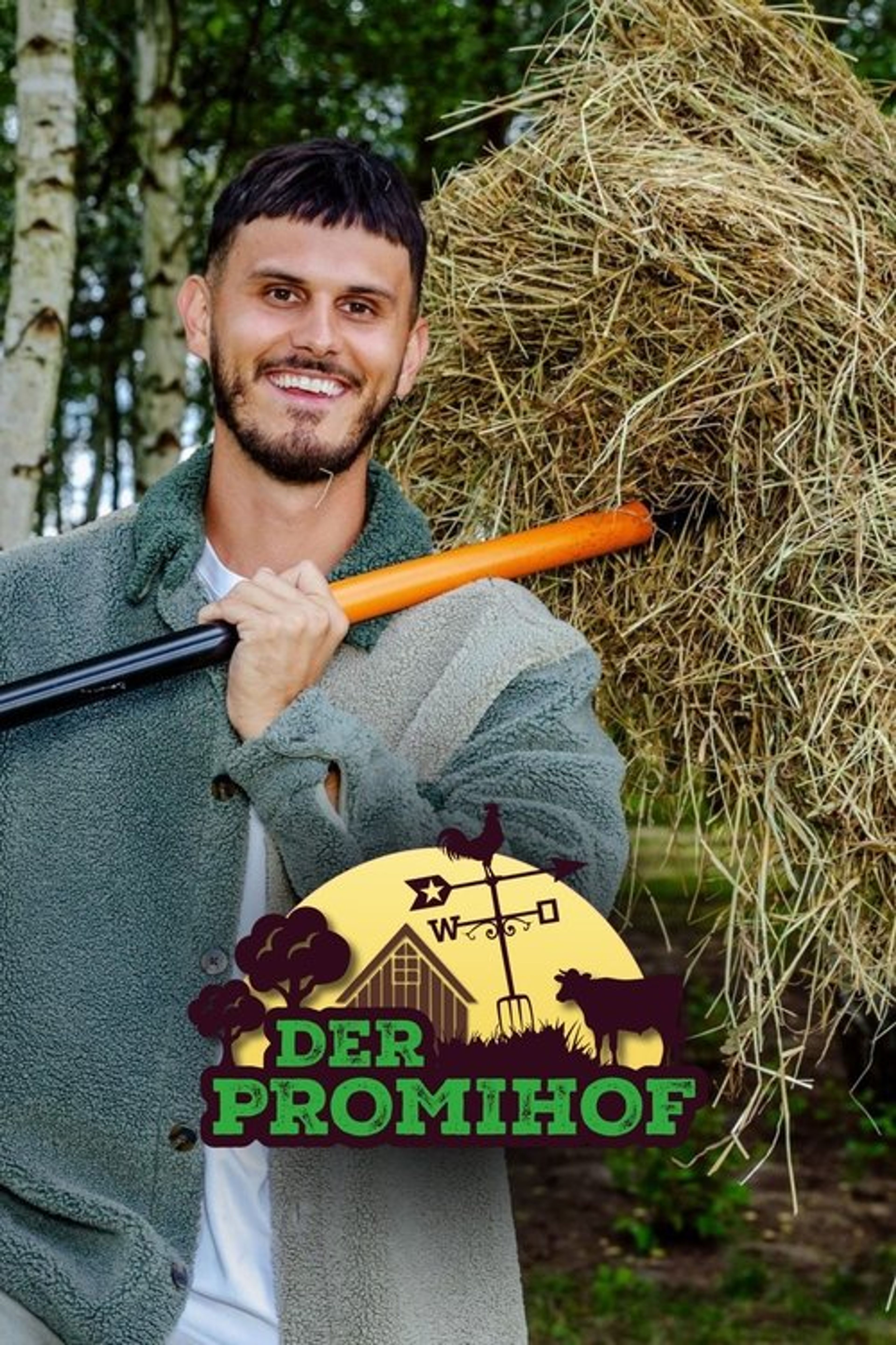 Poster image of Der Promihof