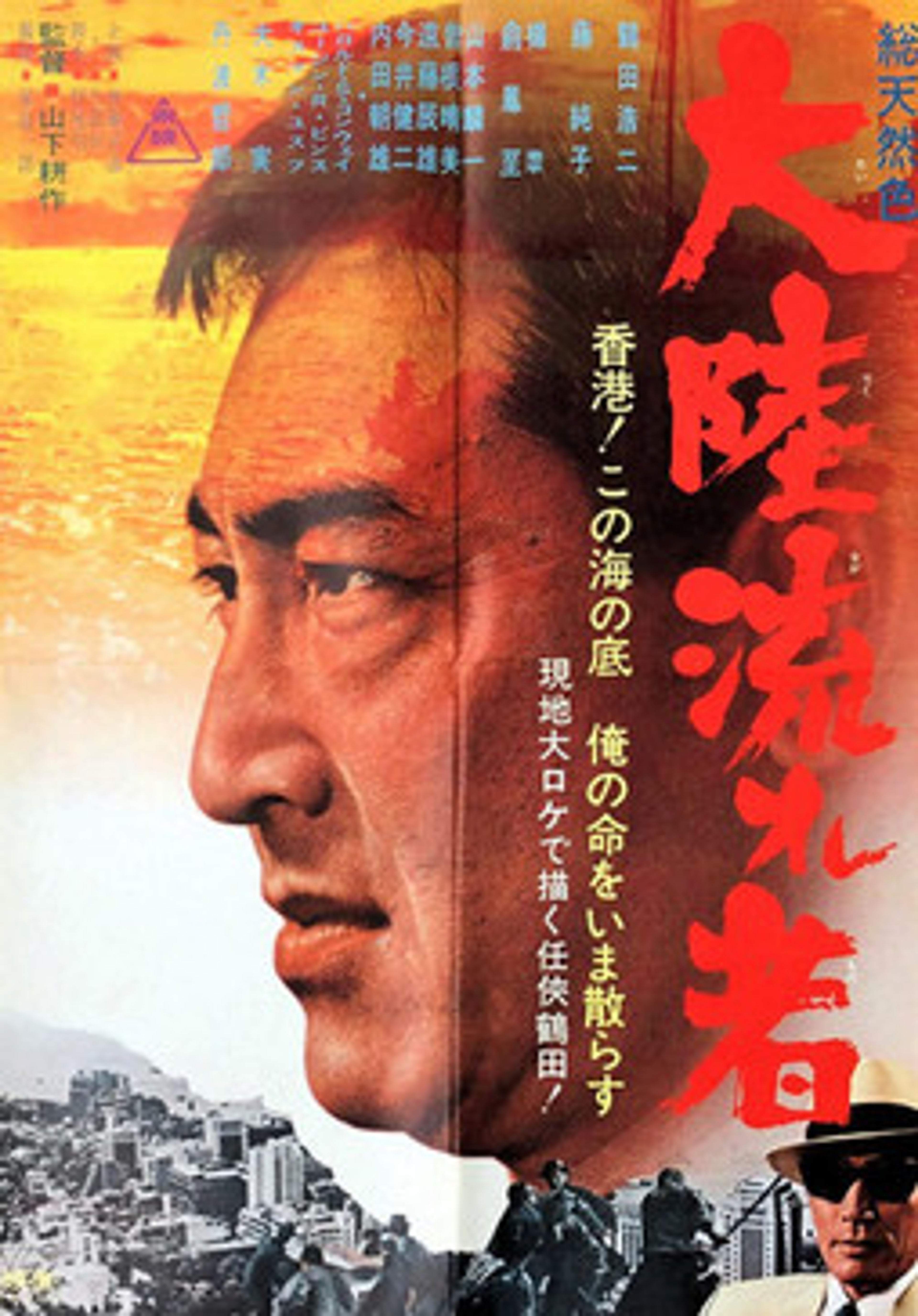 Poster image of Continental Drifter