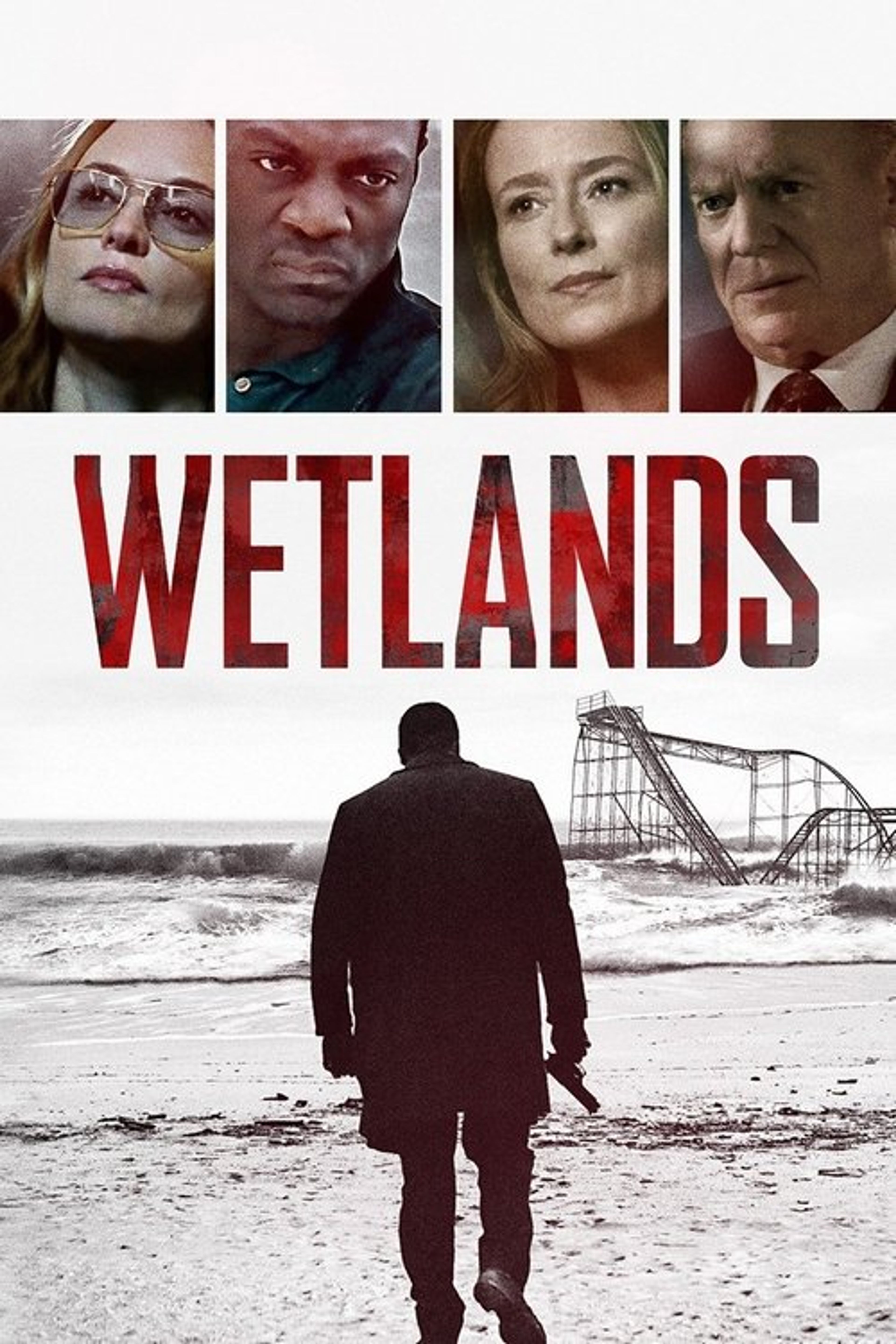 Poster image of Wetlands