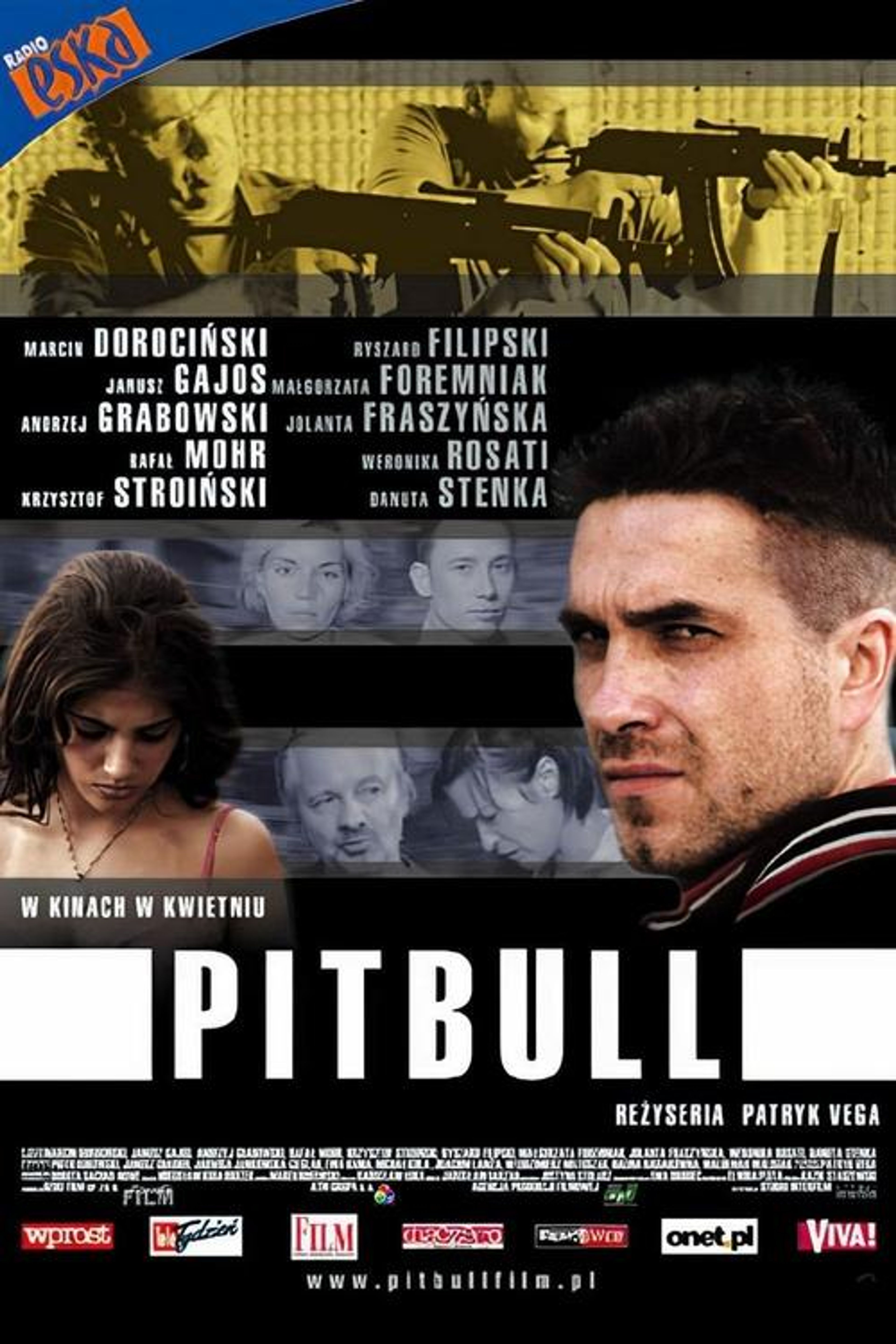 Poster image of Pitbull