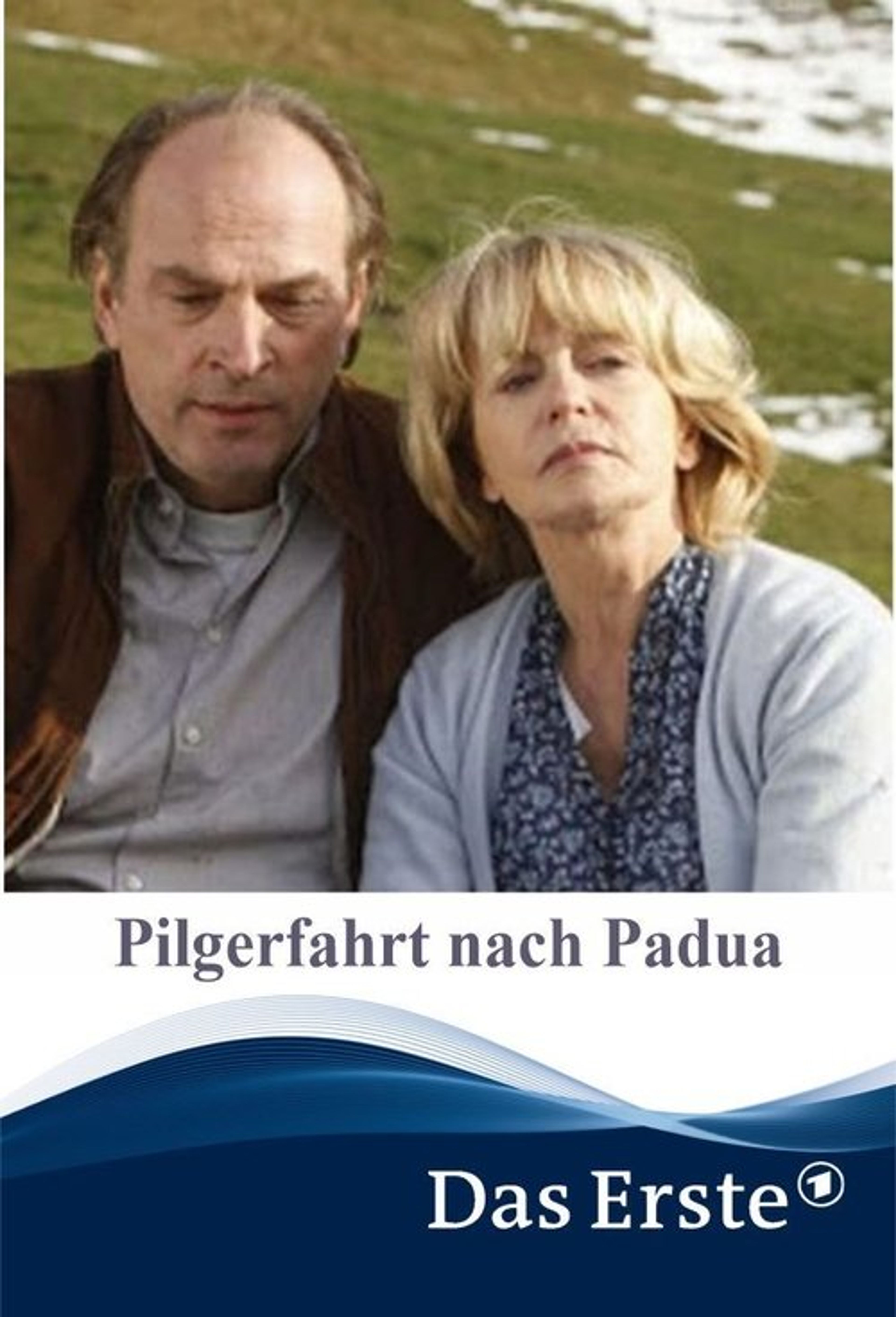 Poster image of Pilgerfahrt nach Padua